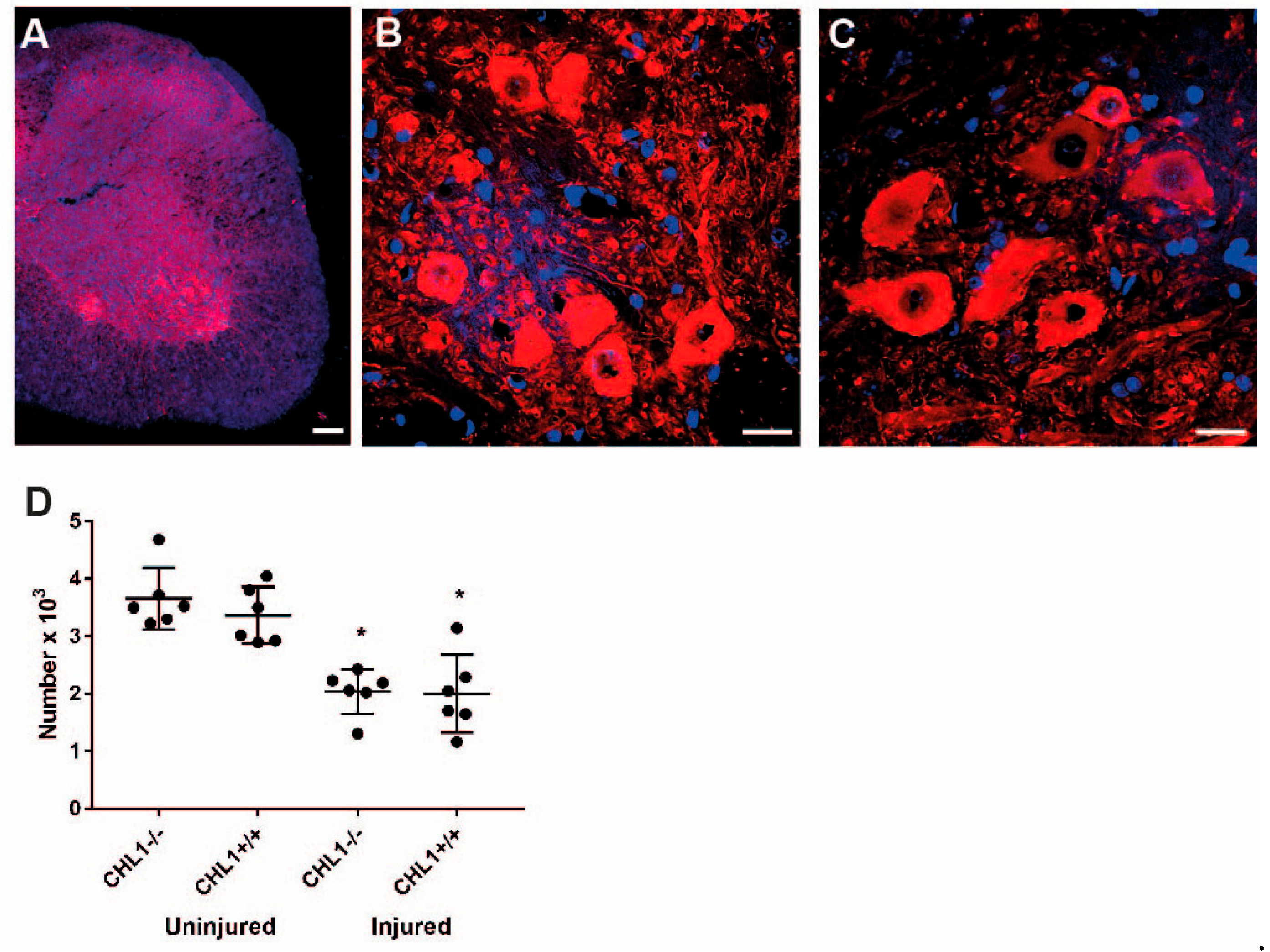 Biomolecules 15 01247 g004