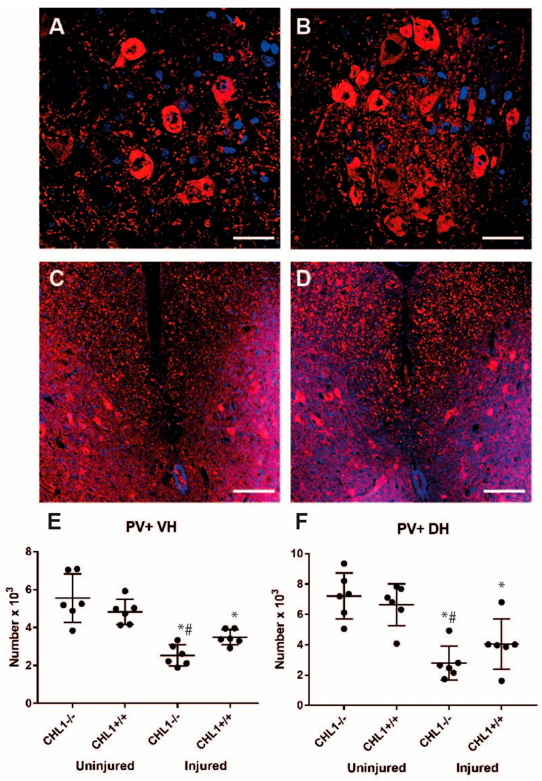 Biomolecules 15 01247 g005