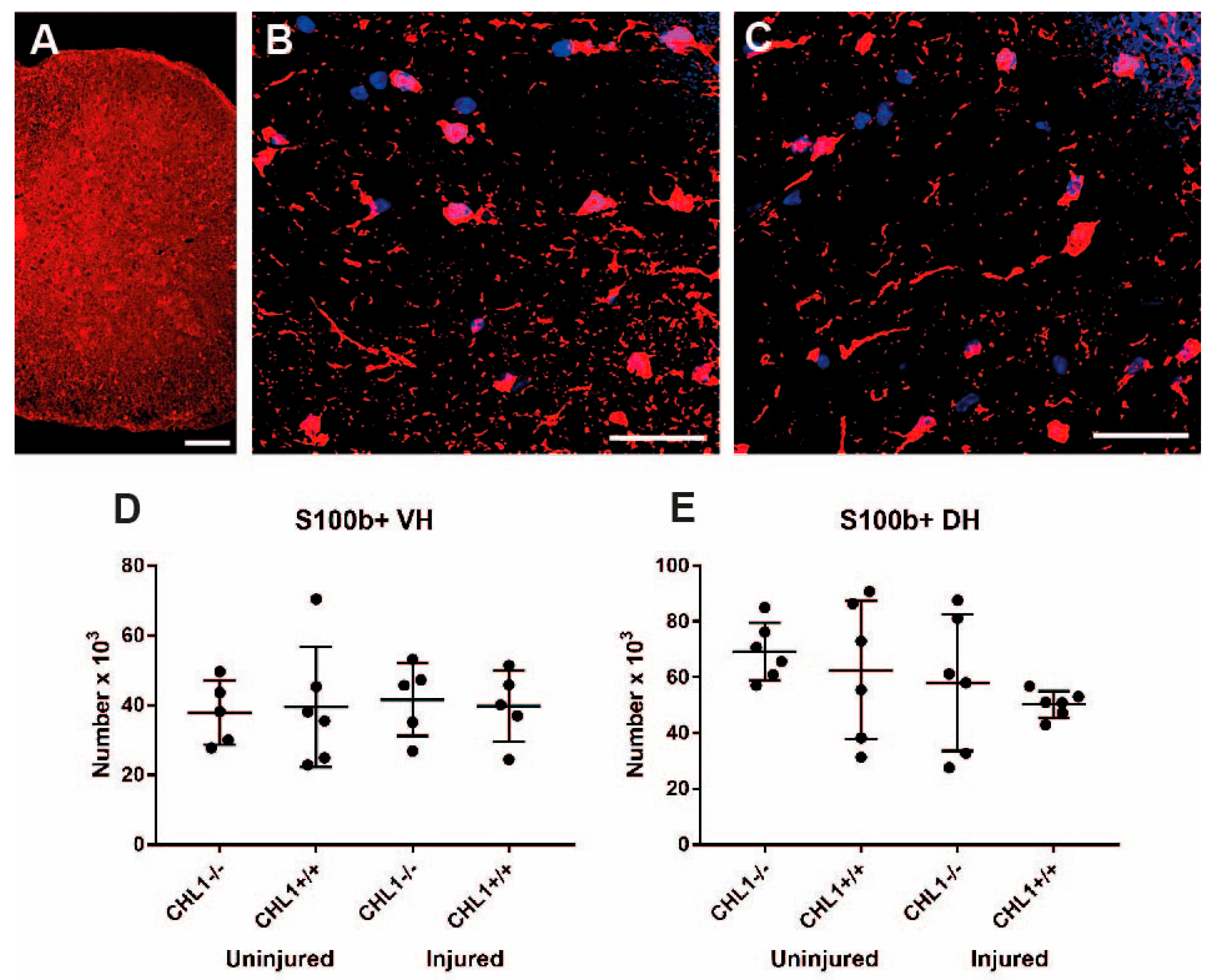 Biomolecules 15 01247 g006