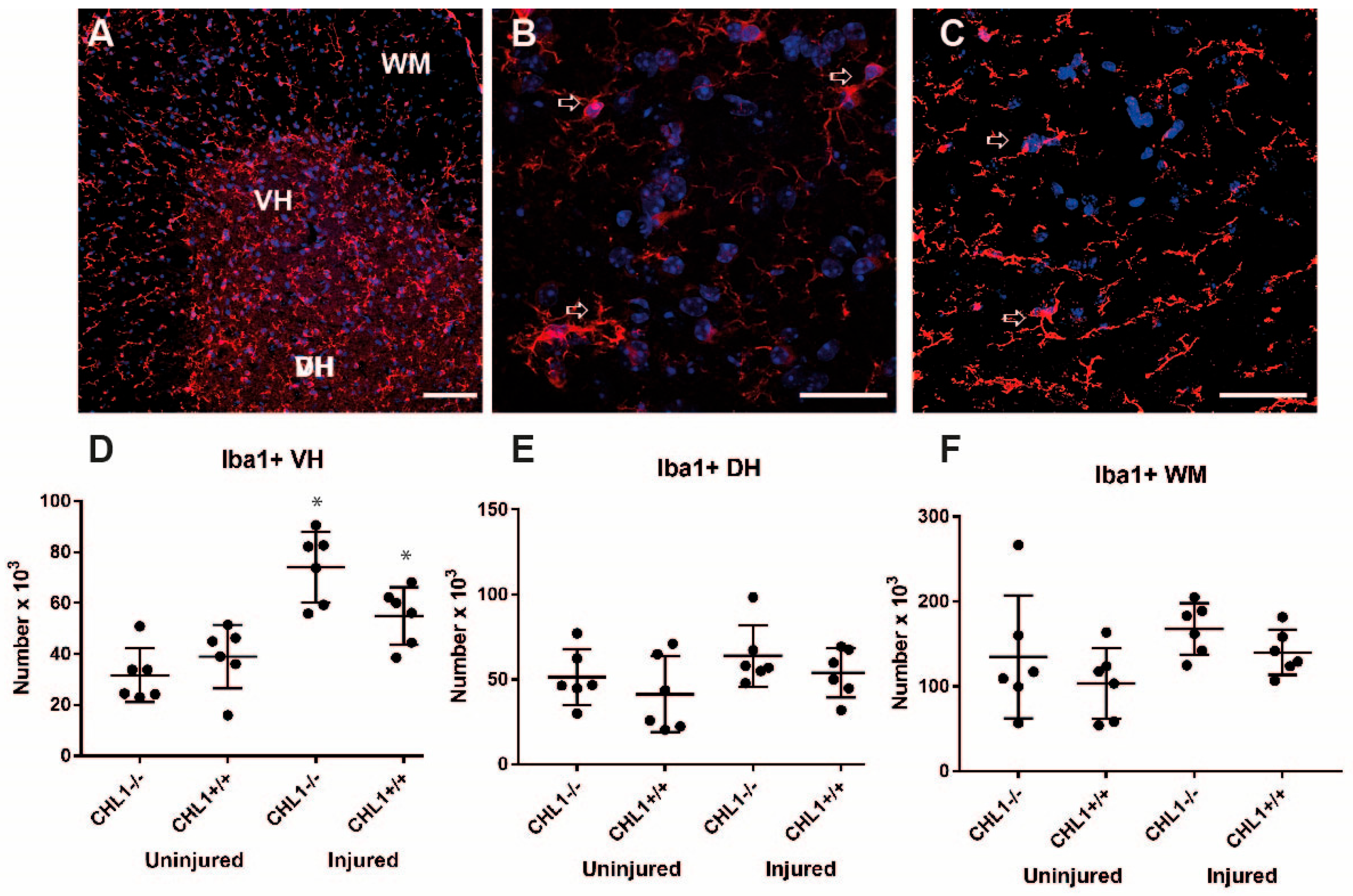 Biomolecules 15 01247 g008