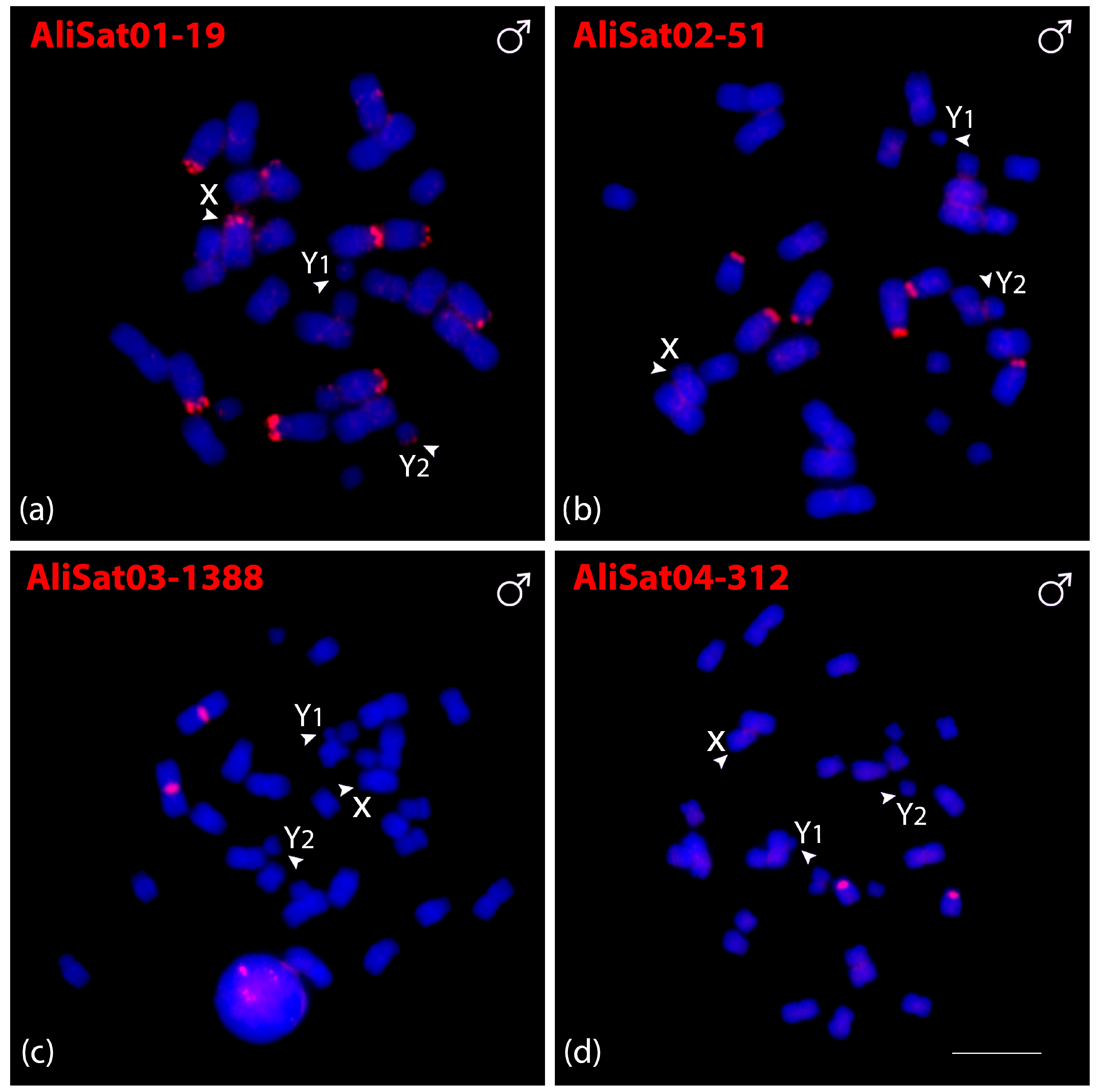 Biomolecules 15 01248 g002