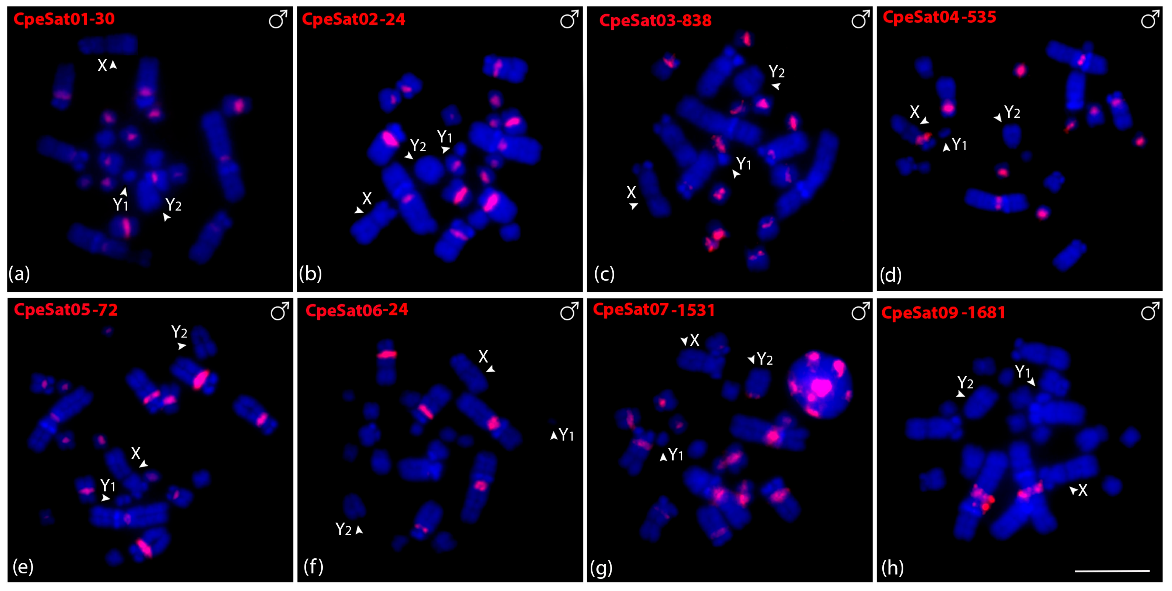 Biomolecules 15 01248 g003