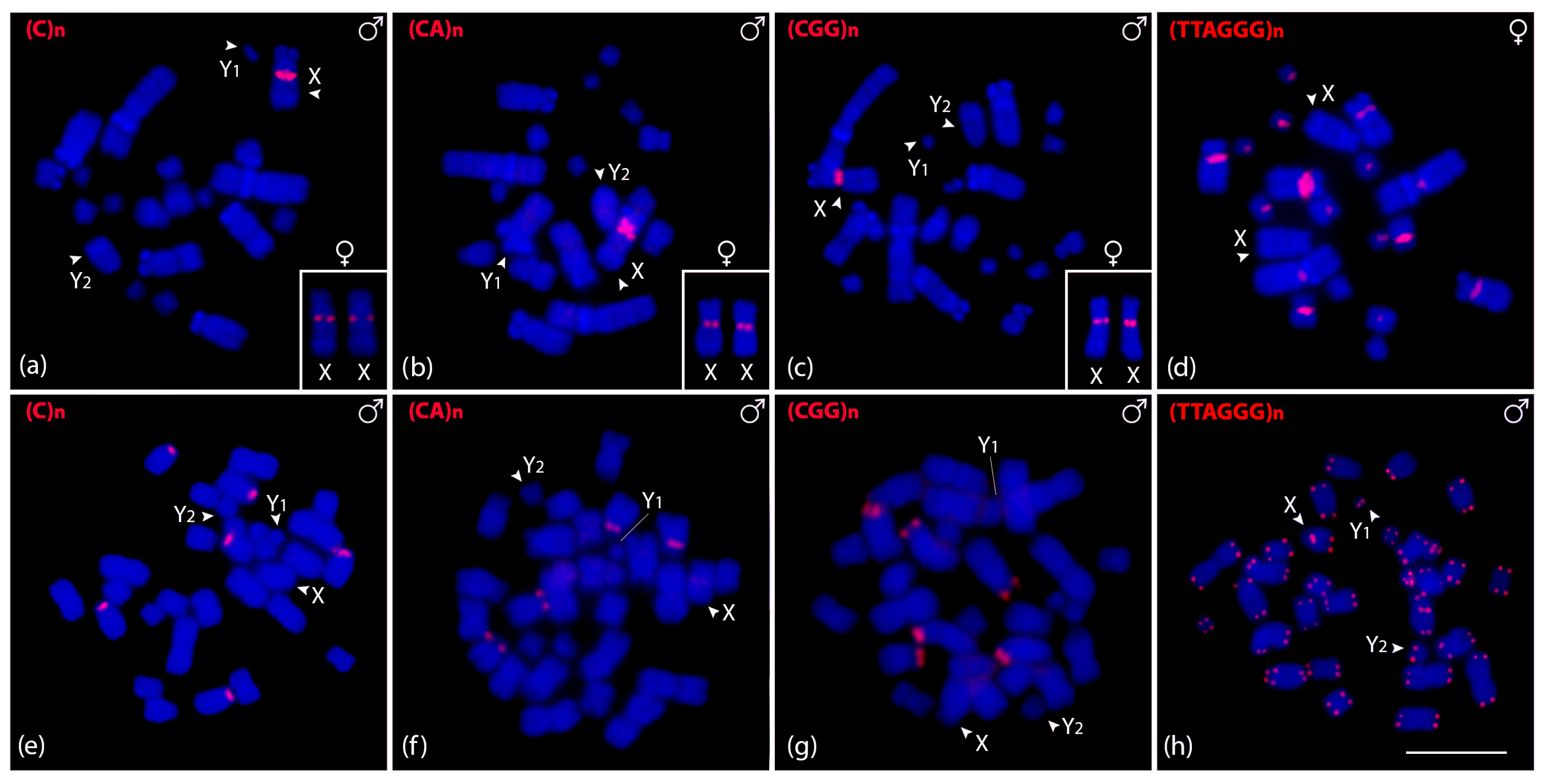 Biomolecules 15 01248 g004