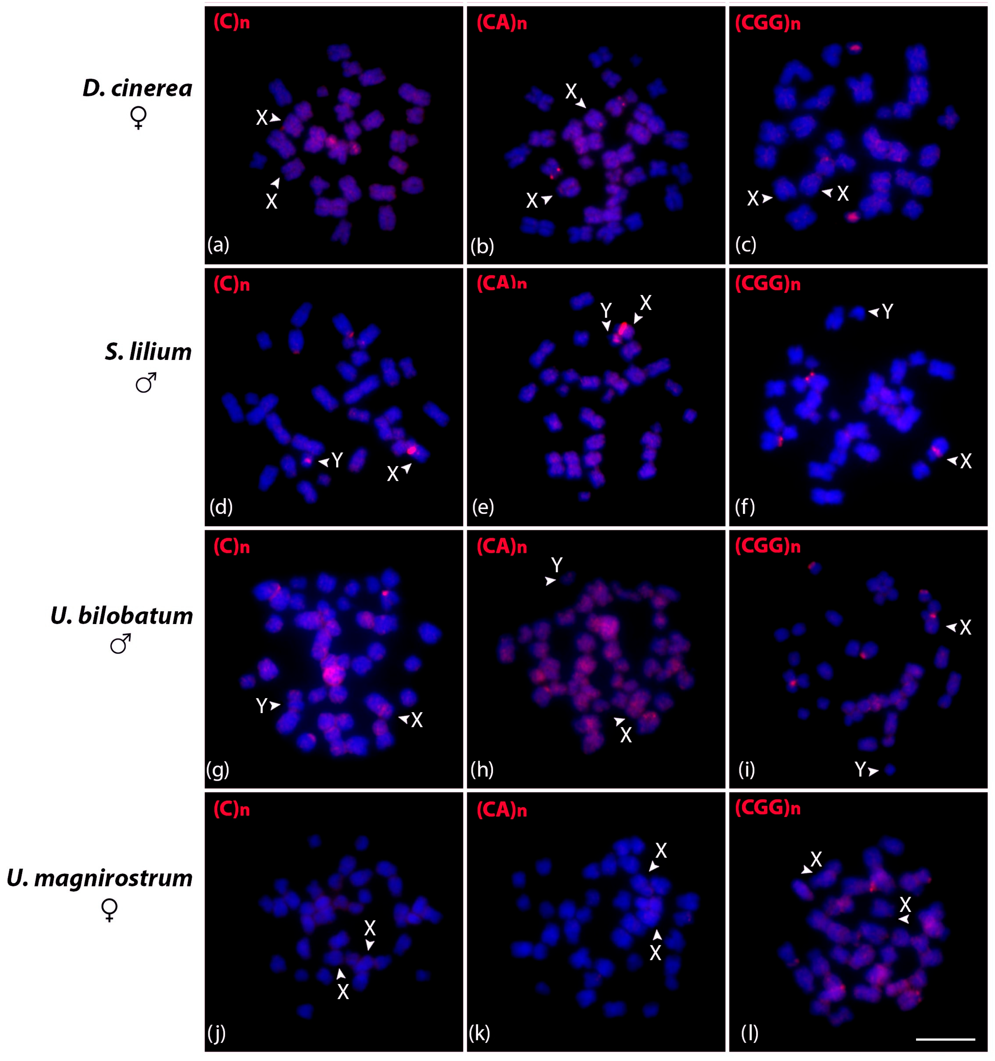 Biomolecules 15 01248 g005
