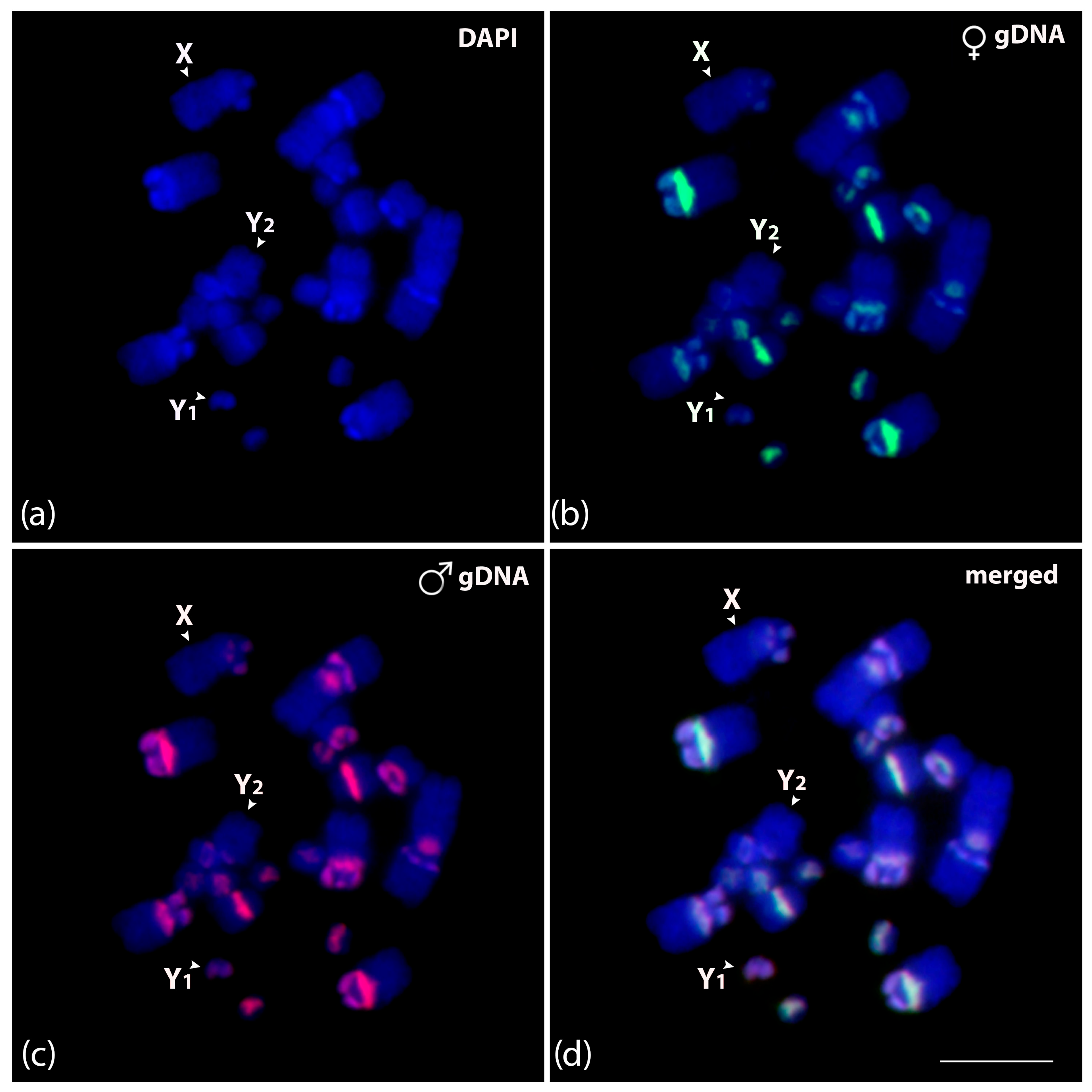 Biomolecules 15 01248 g006