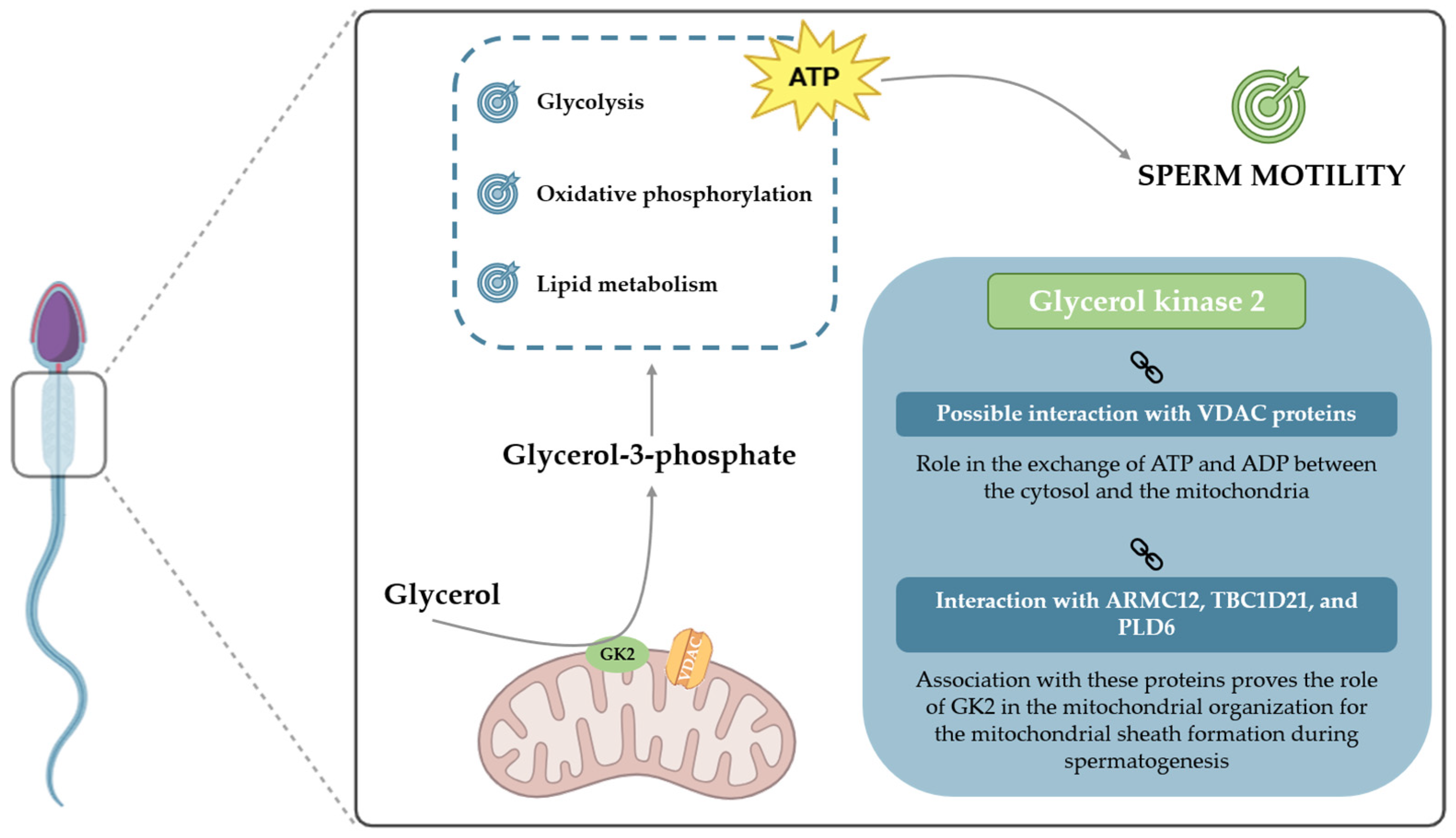 Biomolecules 15 01249 g003 Biomolecules 15 01249 g003