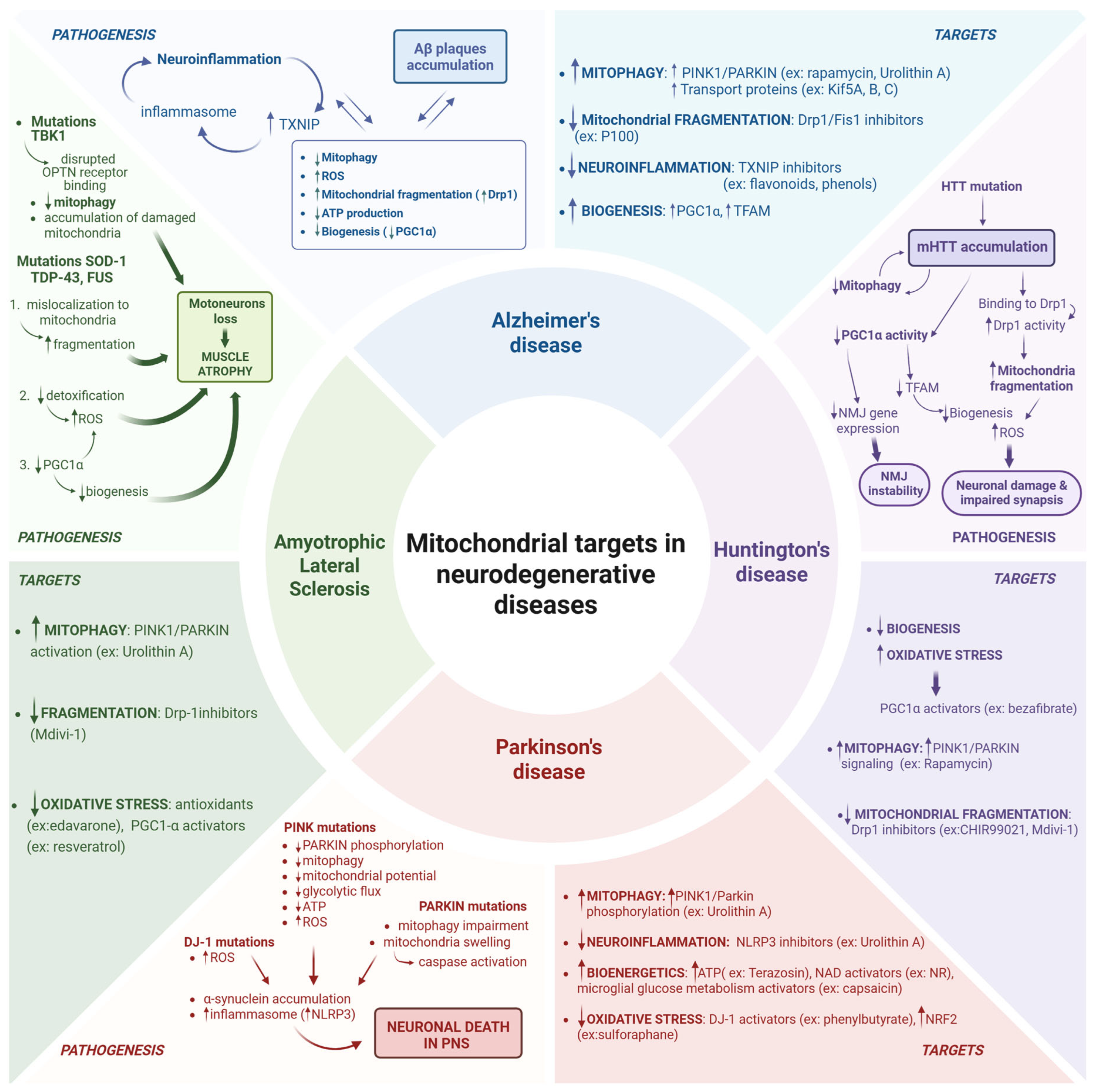 Biomolecules 15 01252 g002 Biomolecules 15 01252 g002