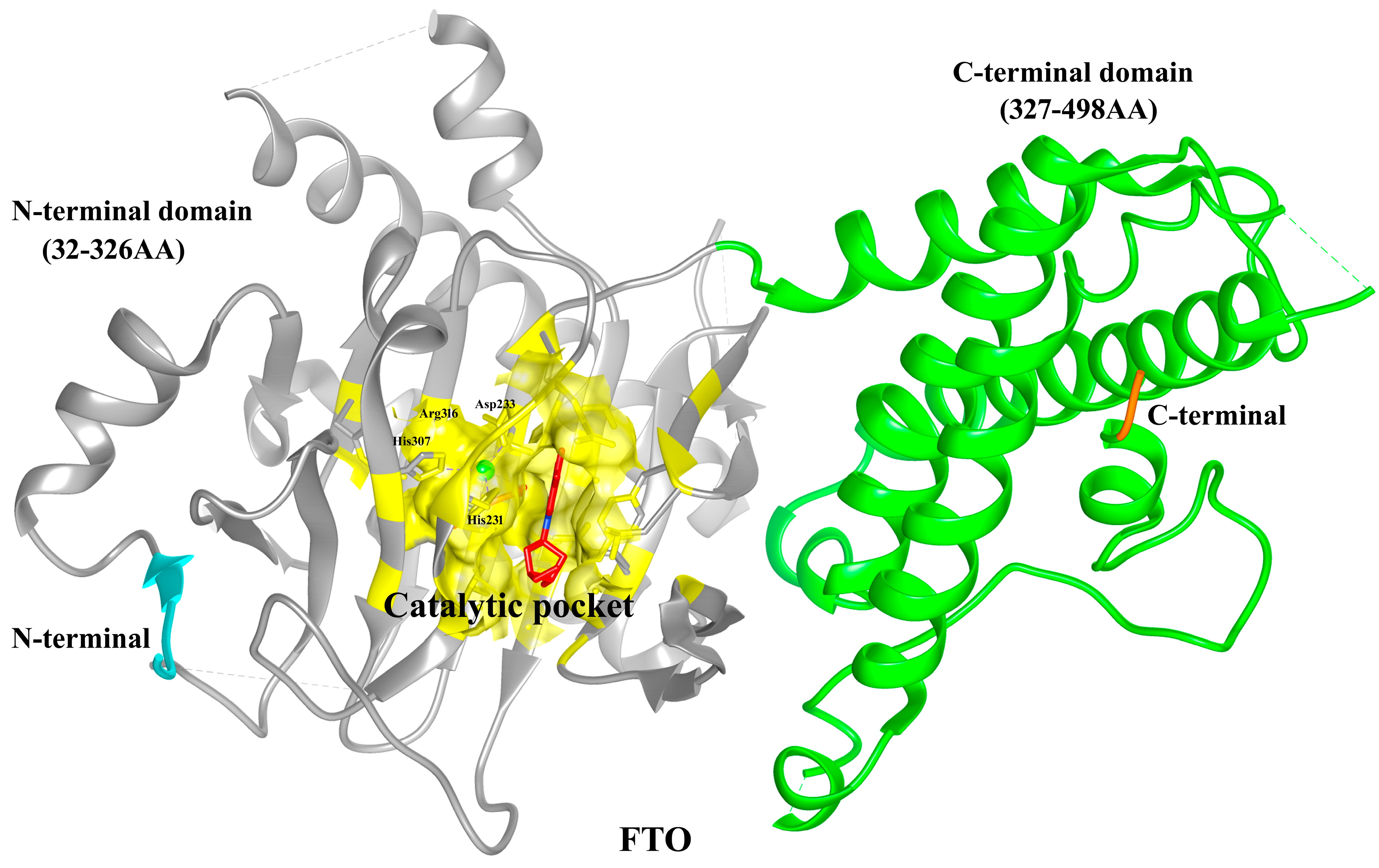 Biomolecules 15 01255 g008