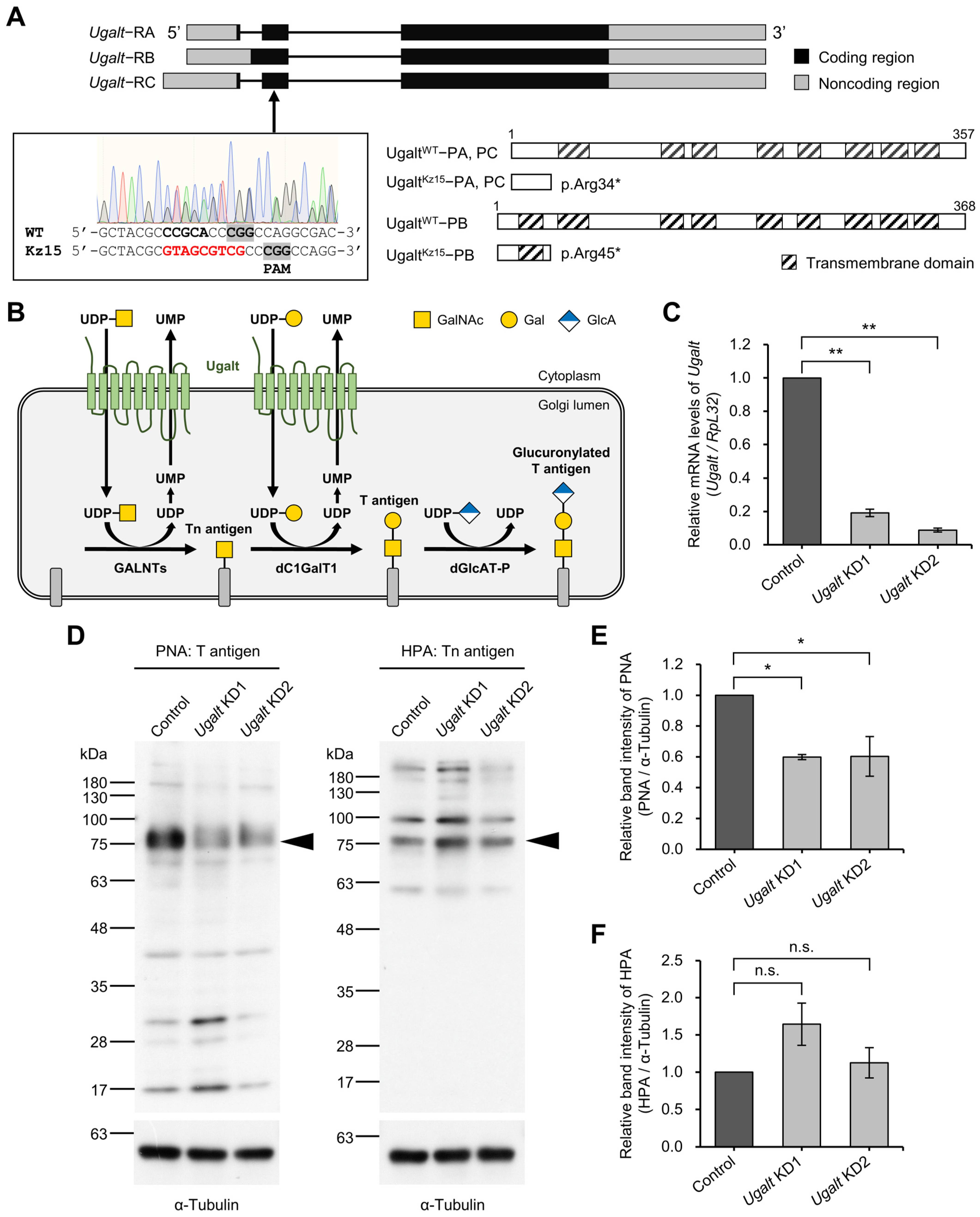 Biomolecules 15 01256 g001
