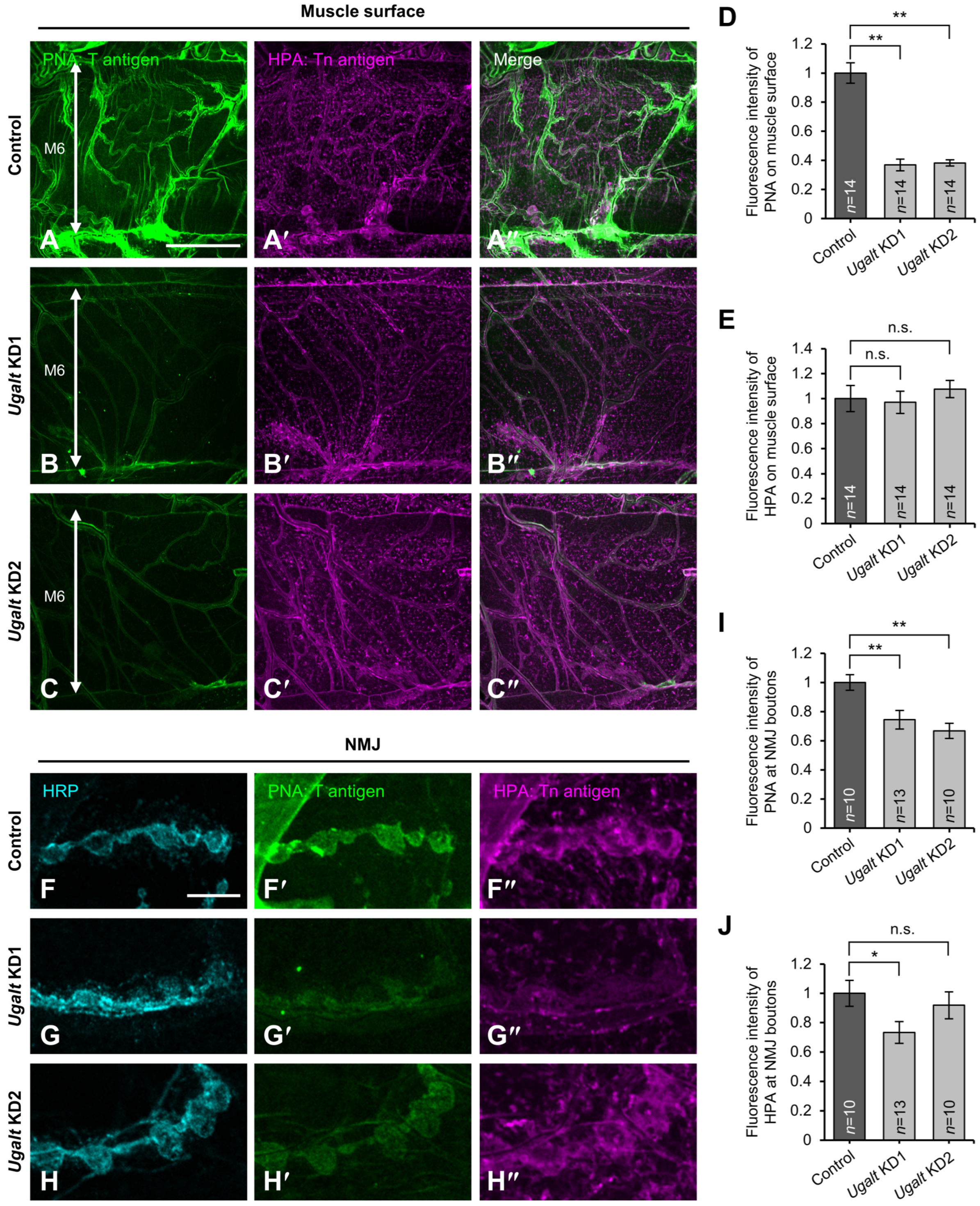 Biomolecules 15 01256 g003