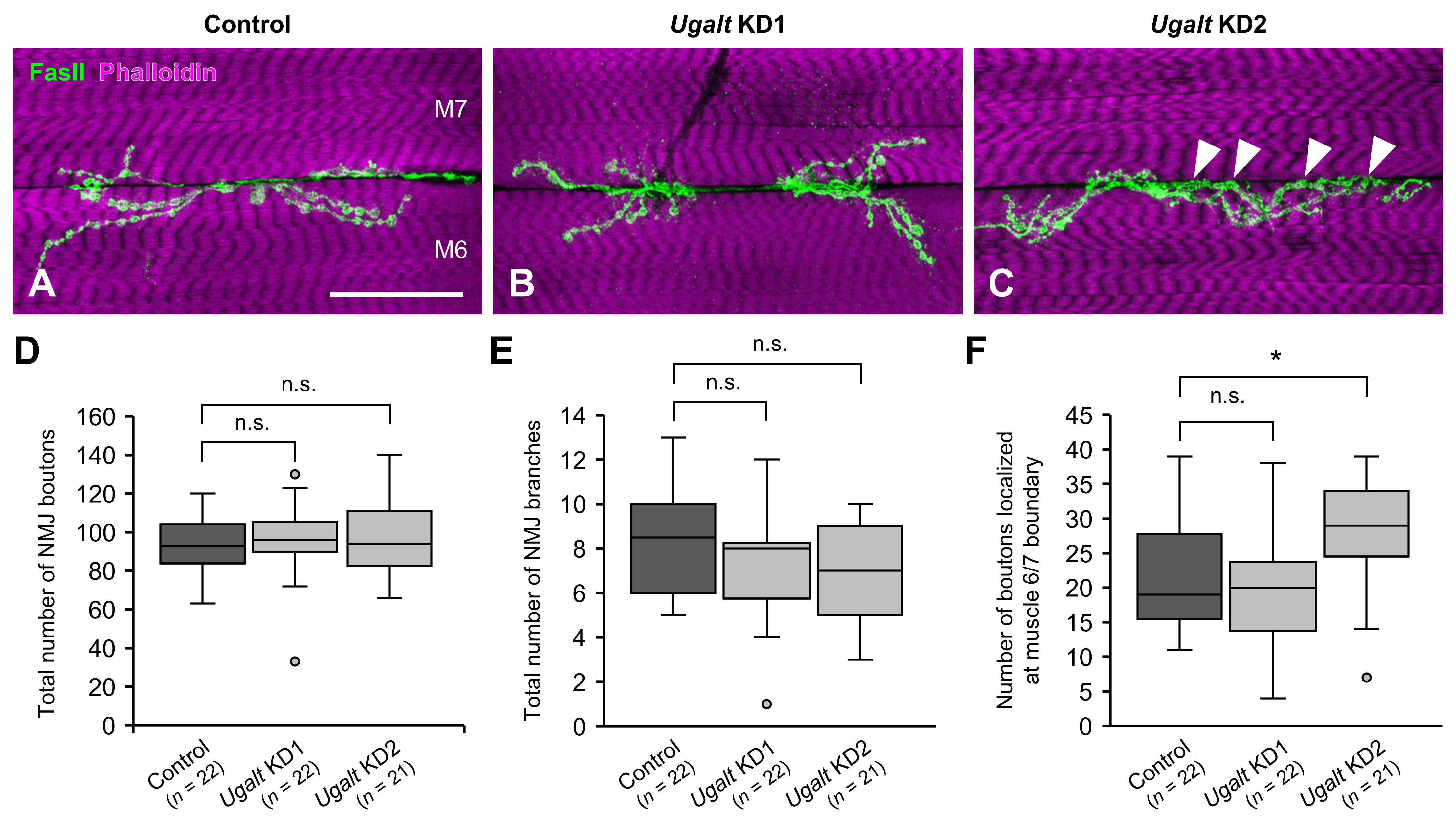 Biomolecules 15 01256 g004