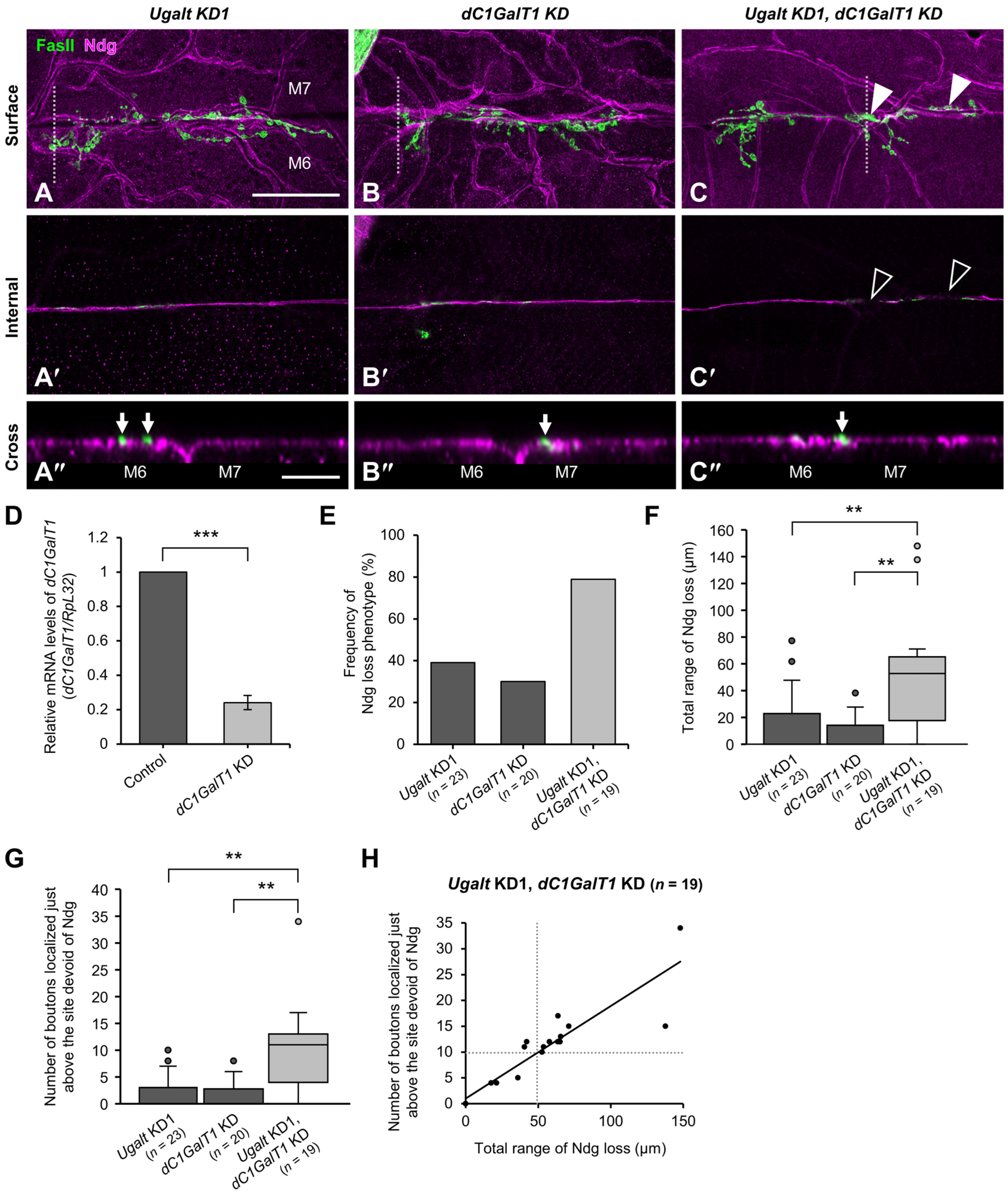 Biomolecules 15 01256 g007