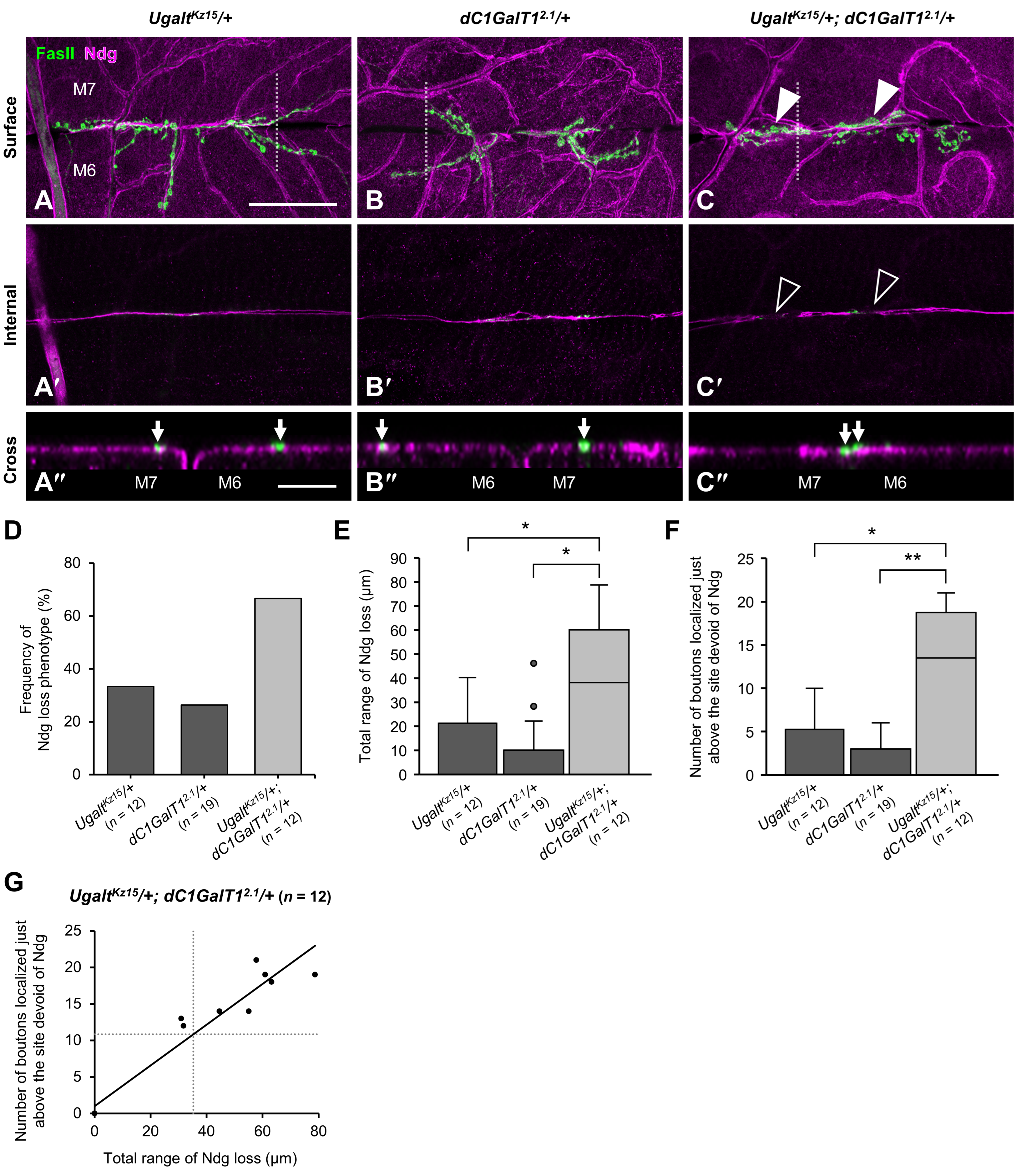 Biomolecules 15 01256 g008