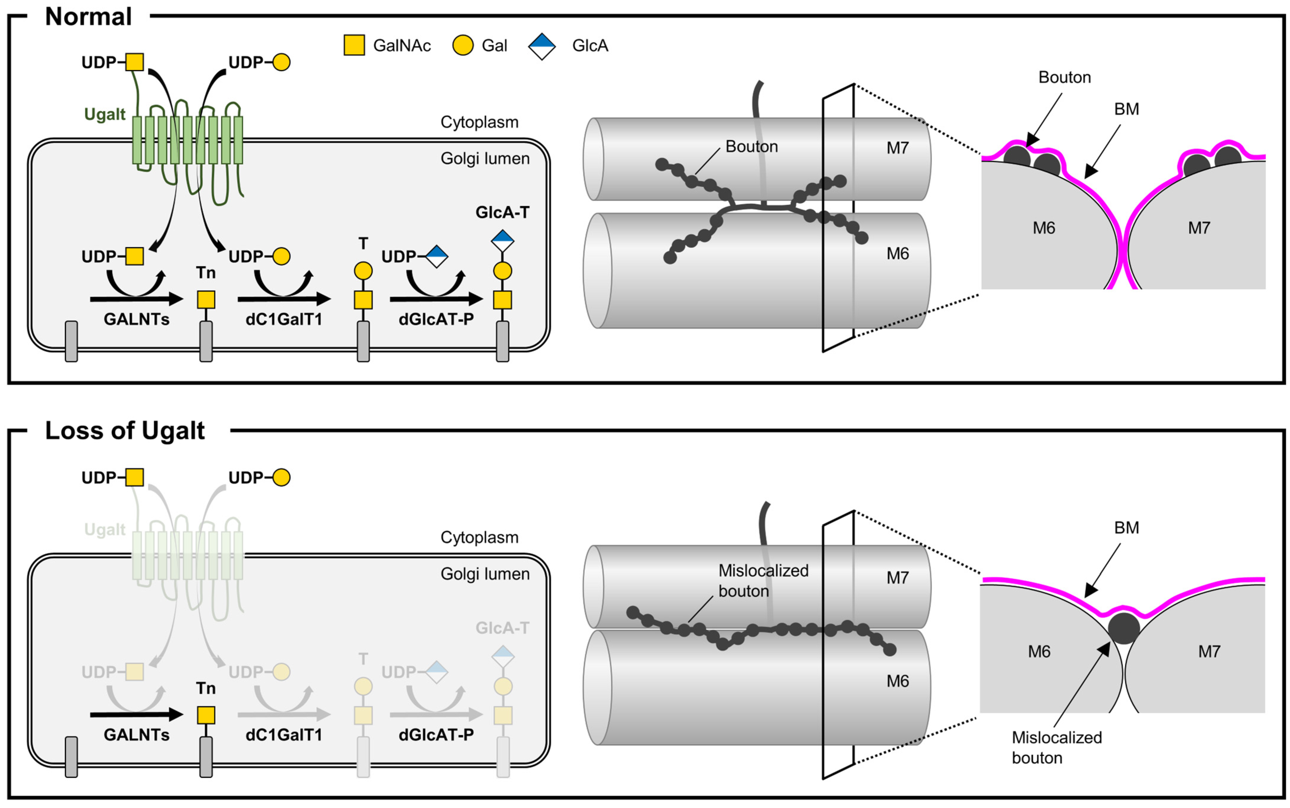 Biomolecules 15 01256 g009