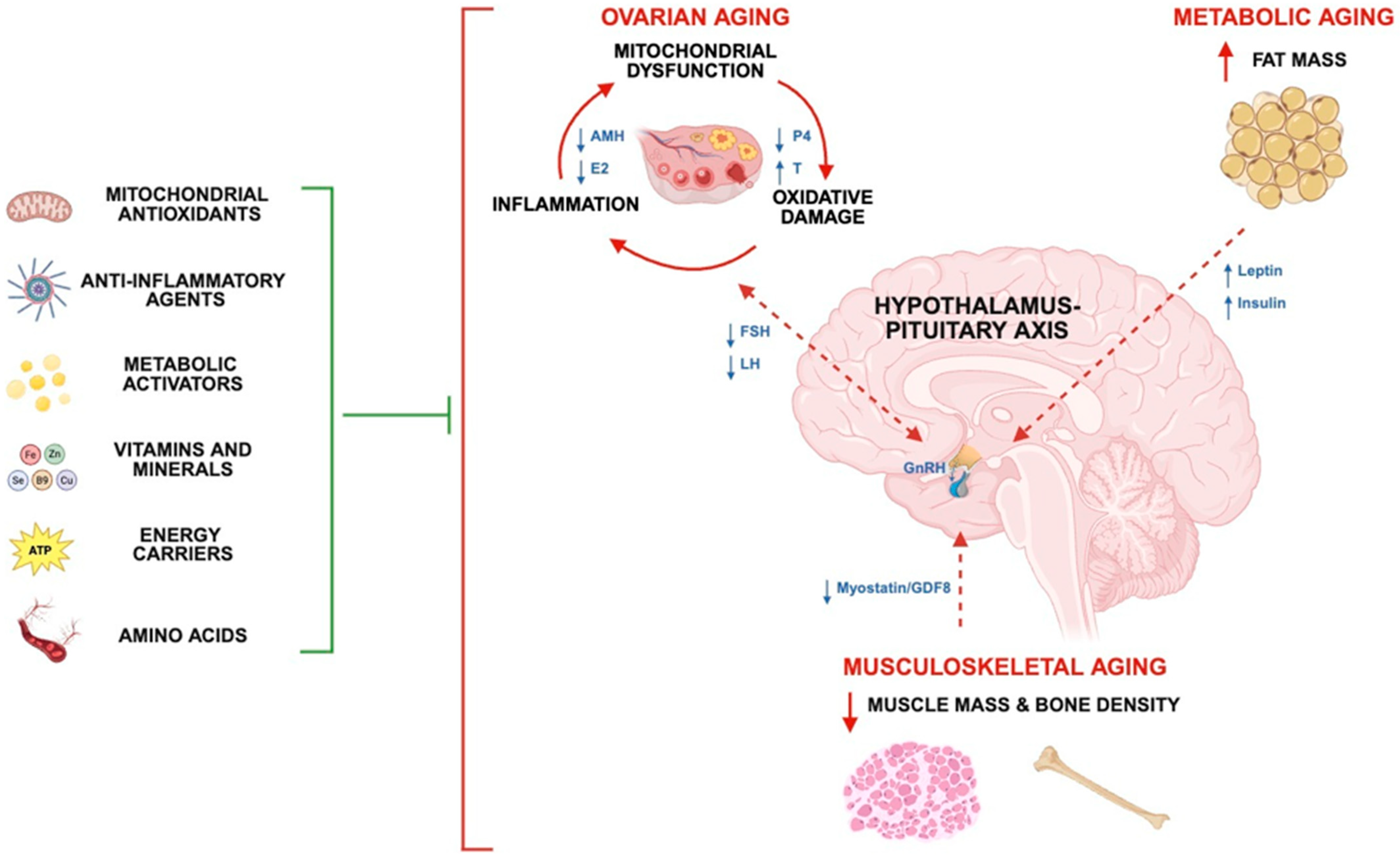Biomolecules 15 01258 g001 Biomolecules 15 01258 g001