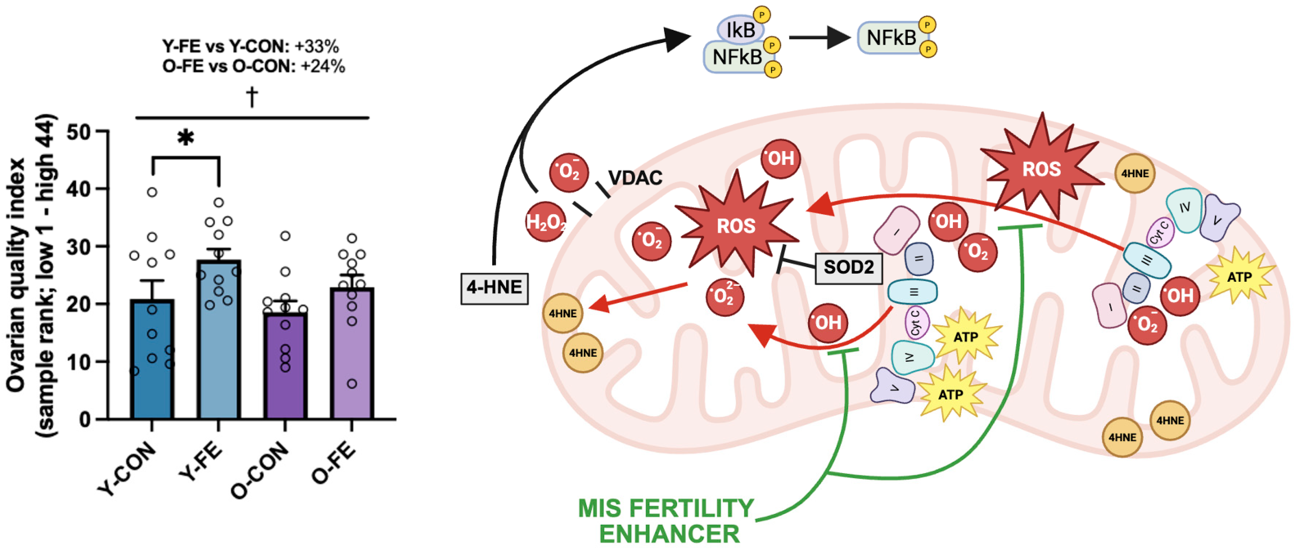 Biomolecules 15 01258 g005 Biomolecules 15 01258 g005
