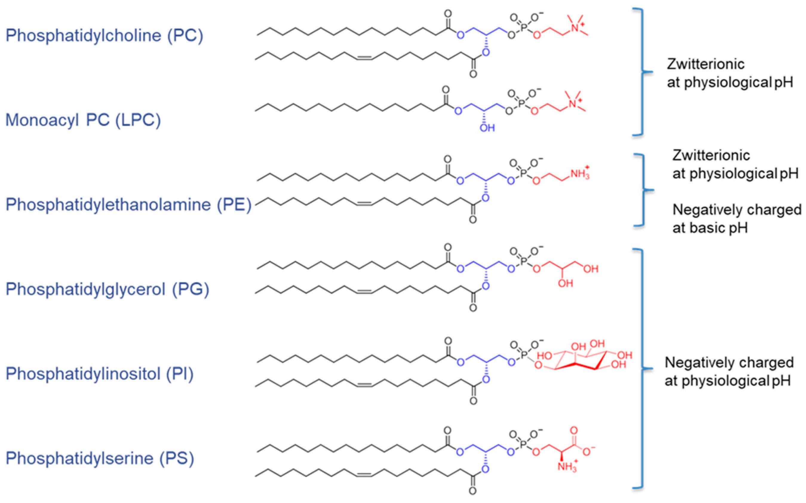 Biomolecules 15 01259 g001 Biomolecules 15 01259 g001