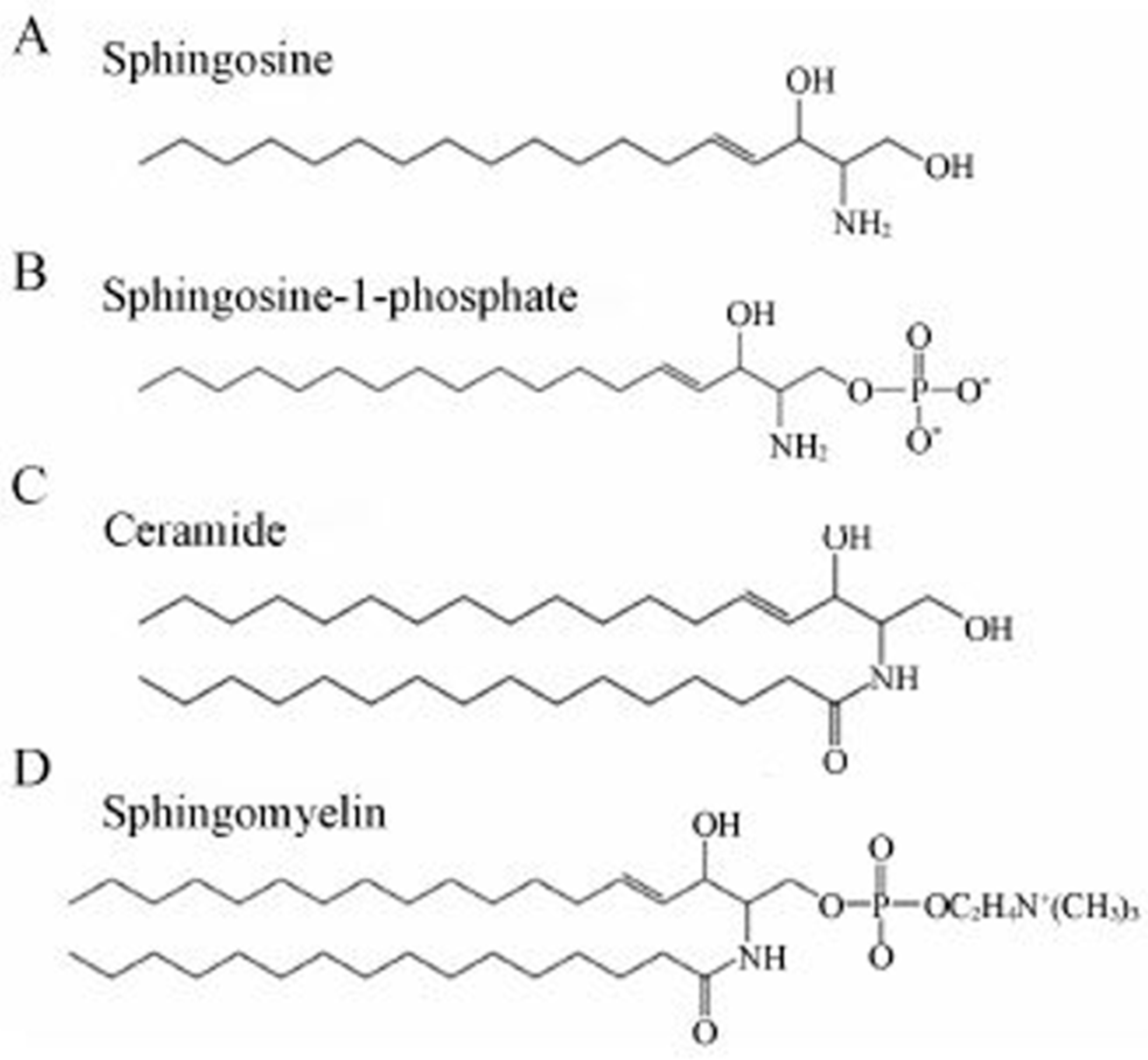 Biomolecules 15 01259 g002 Biomolecules 15 01259 g002