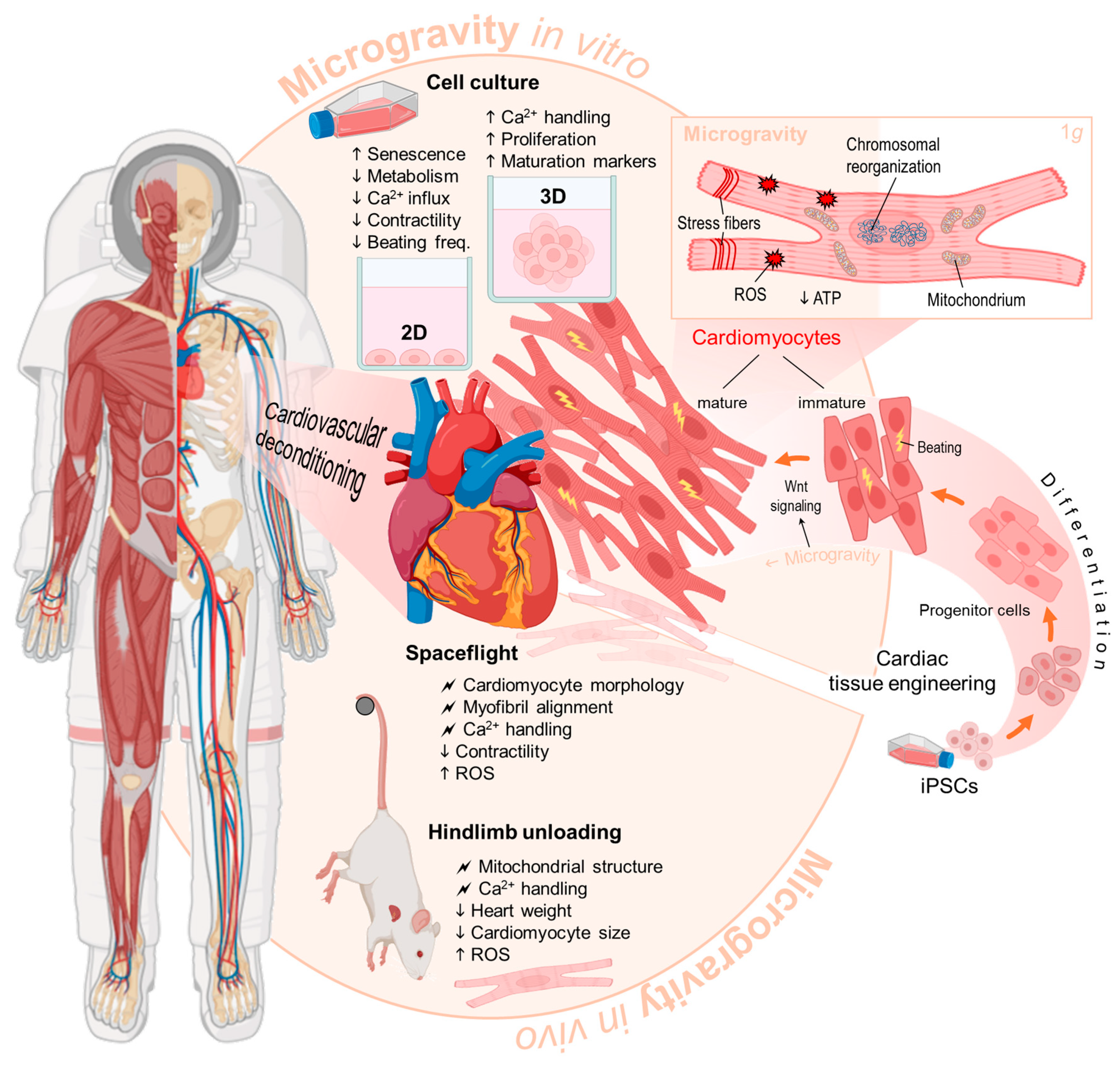 Biomolecules 15 01261 g003