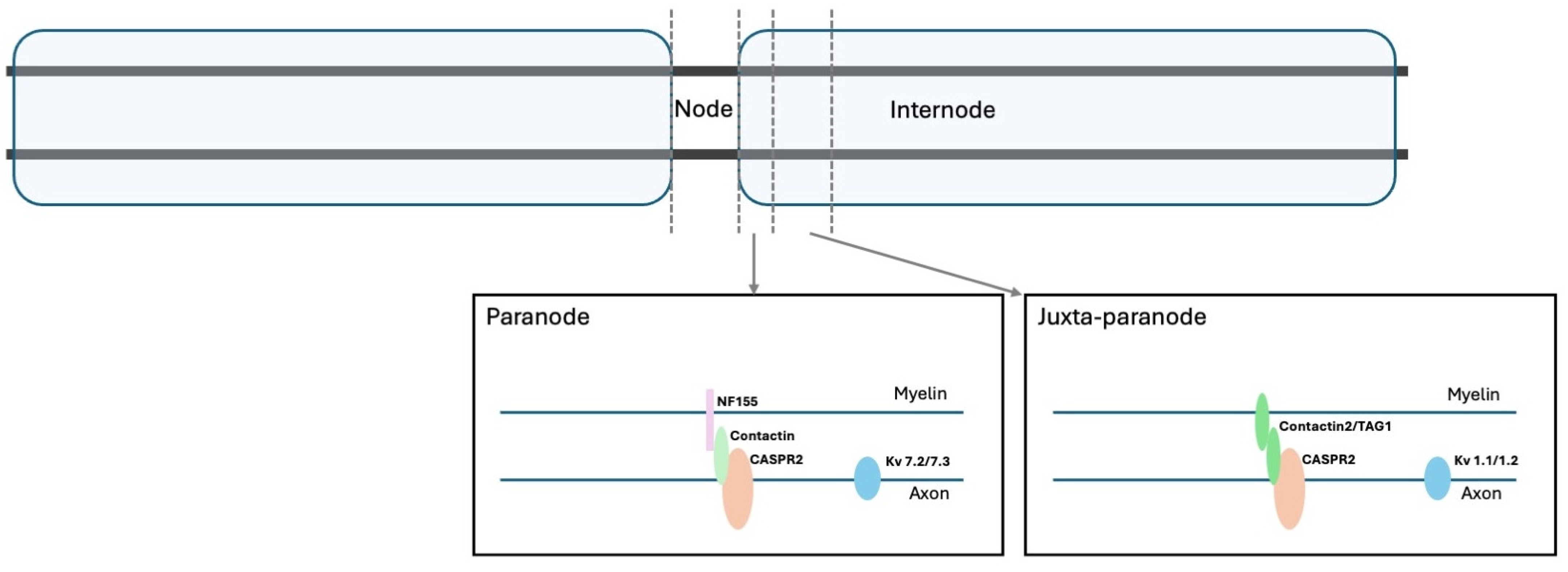 Biomolecules 15 01262 g001