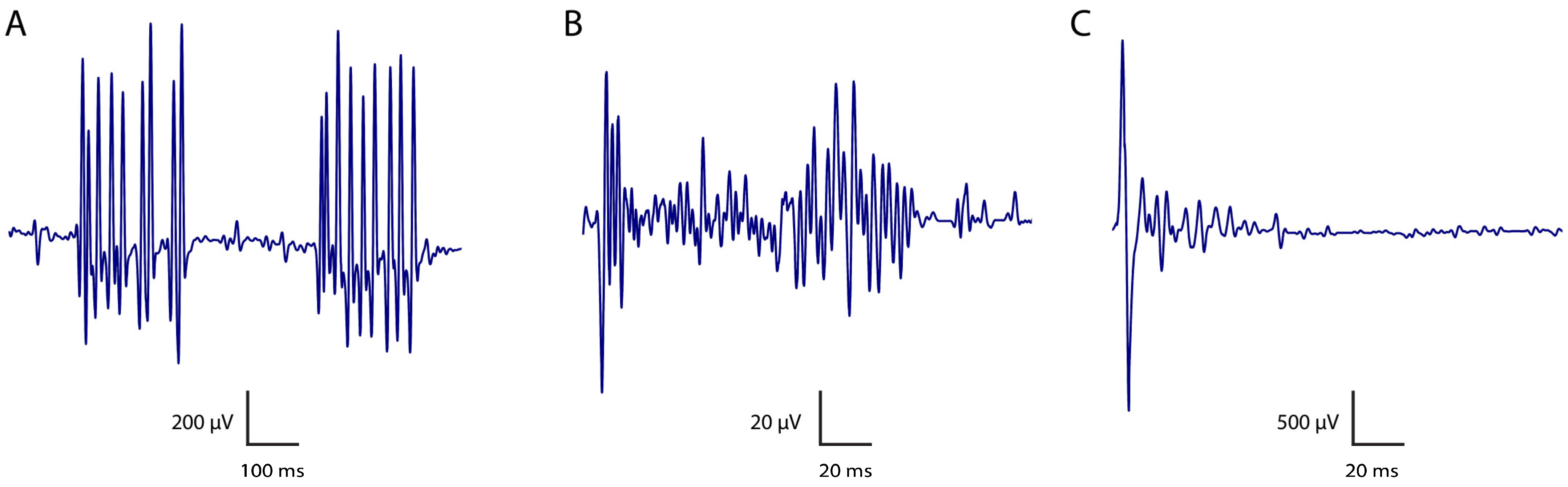 Biomolecules 15 01262 g002
