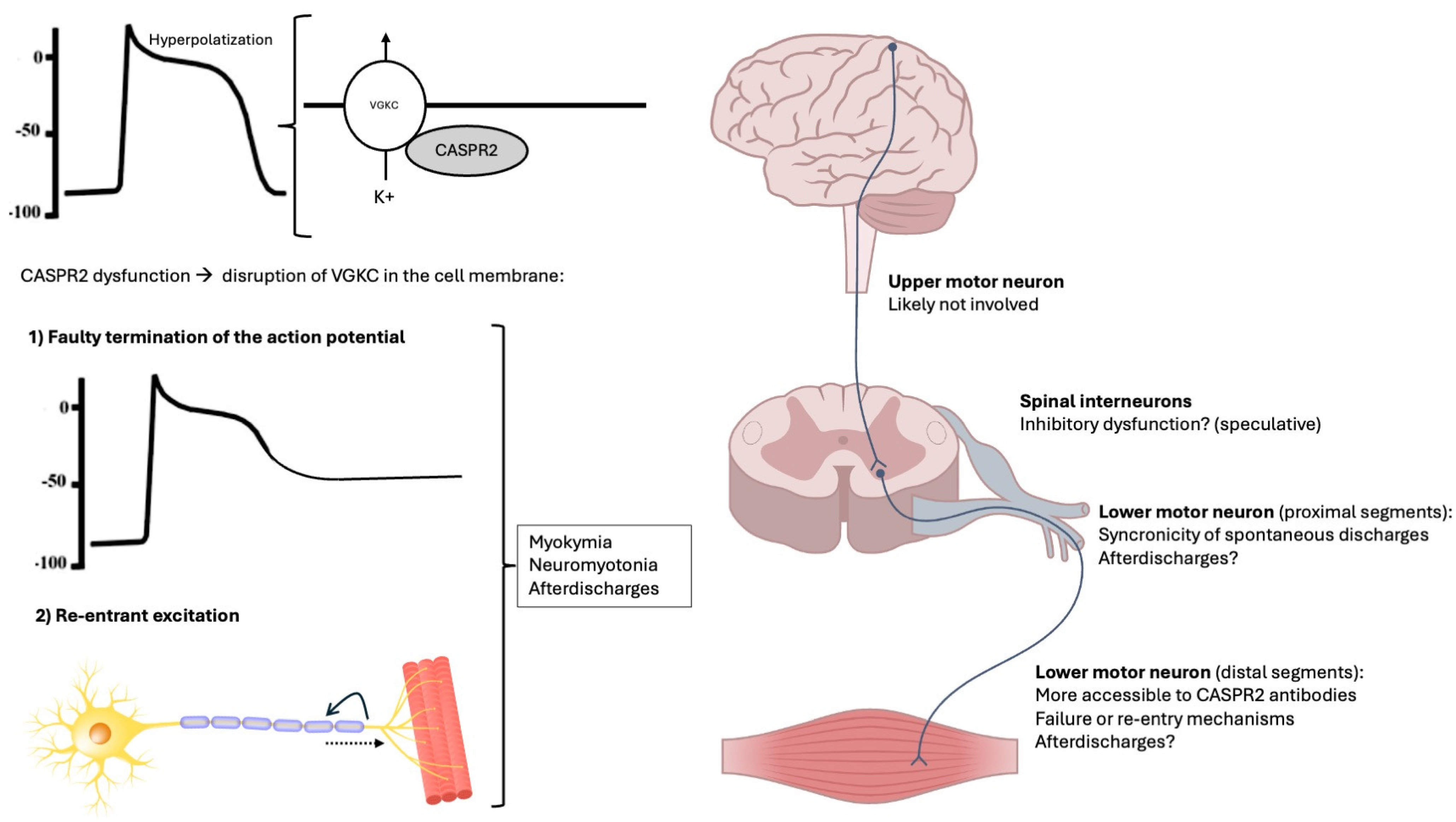 Biomolecules 15 01262 g003