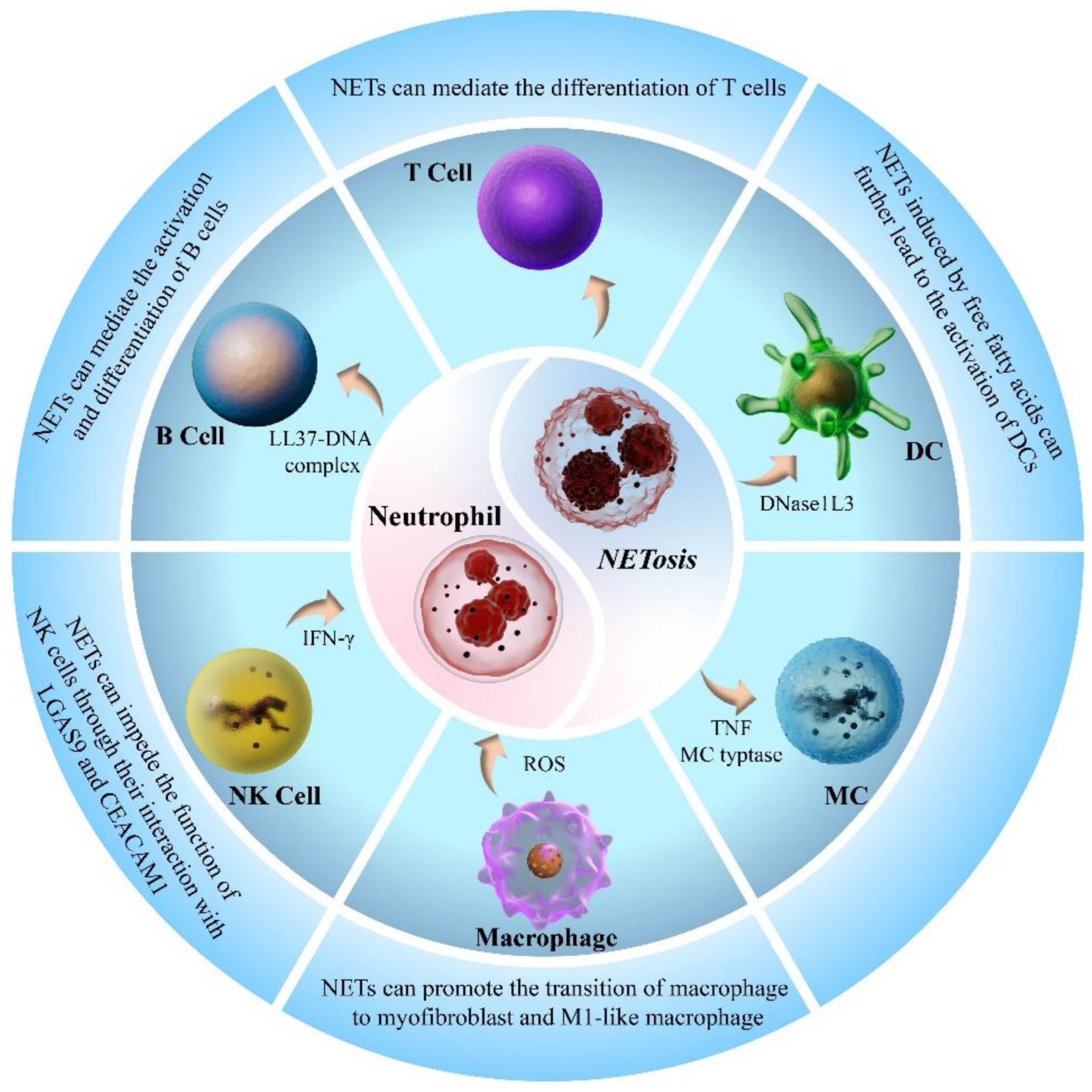 Biomolecules 15 01263 g002