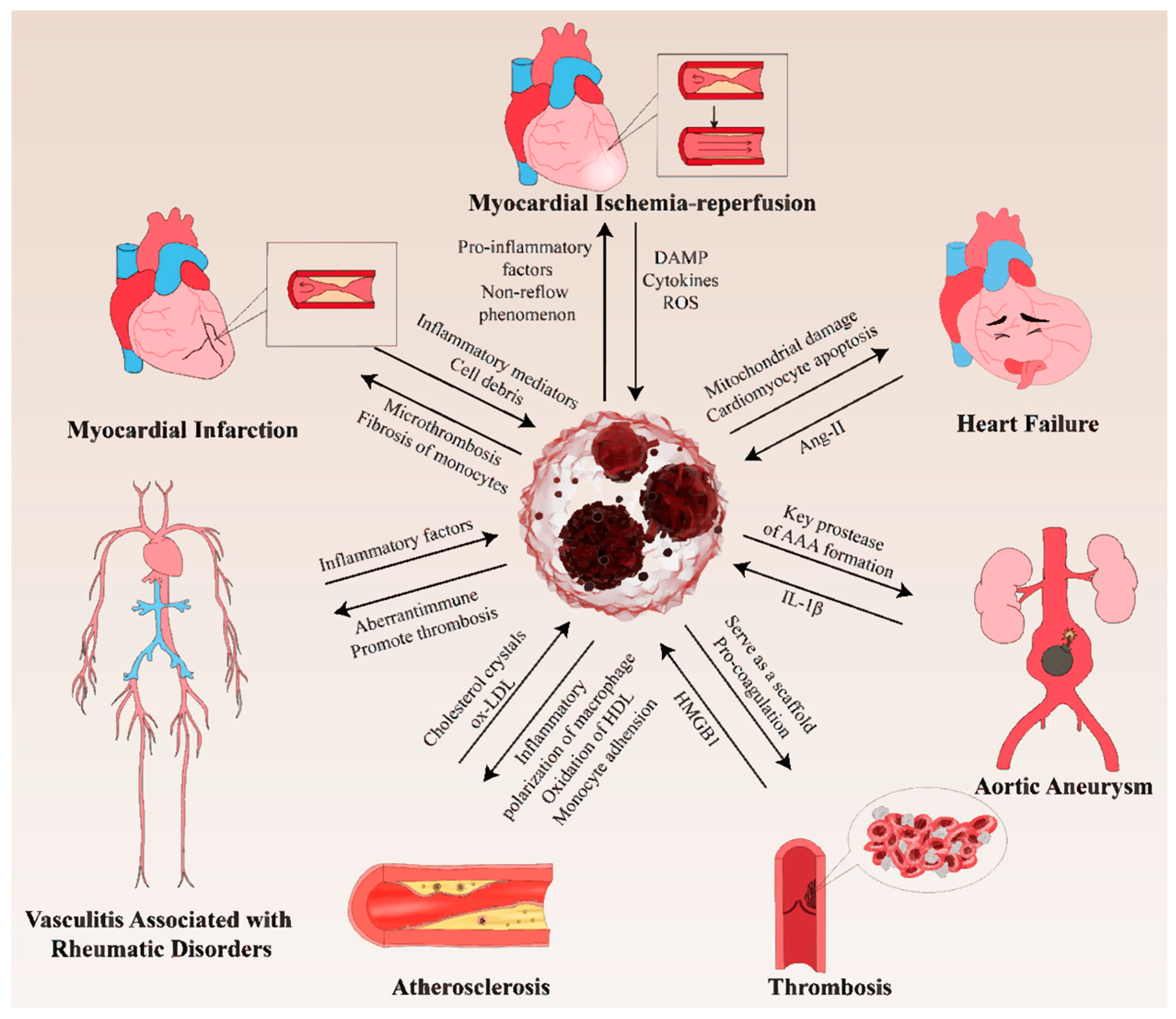 Biomolecules 15 01263 g003