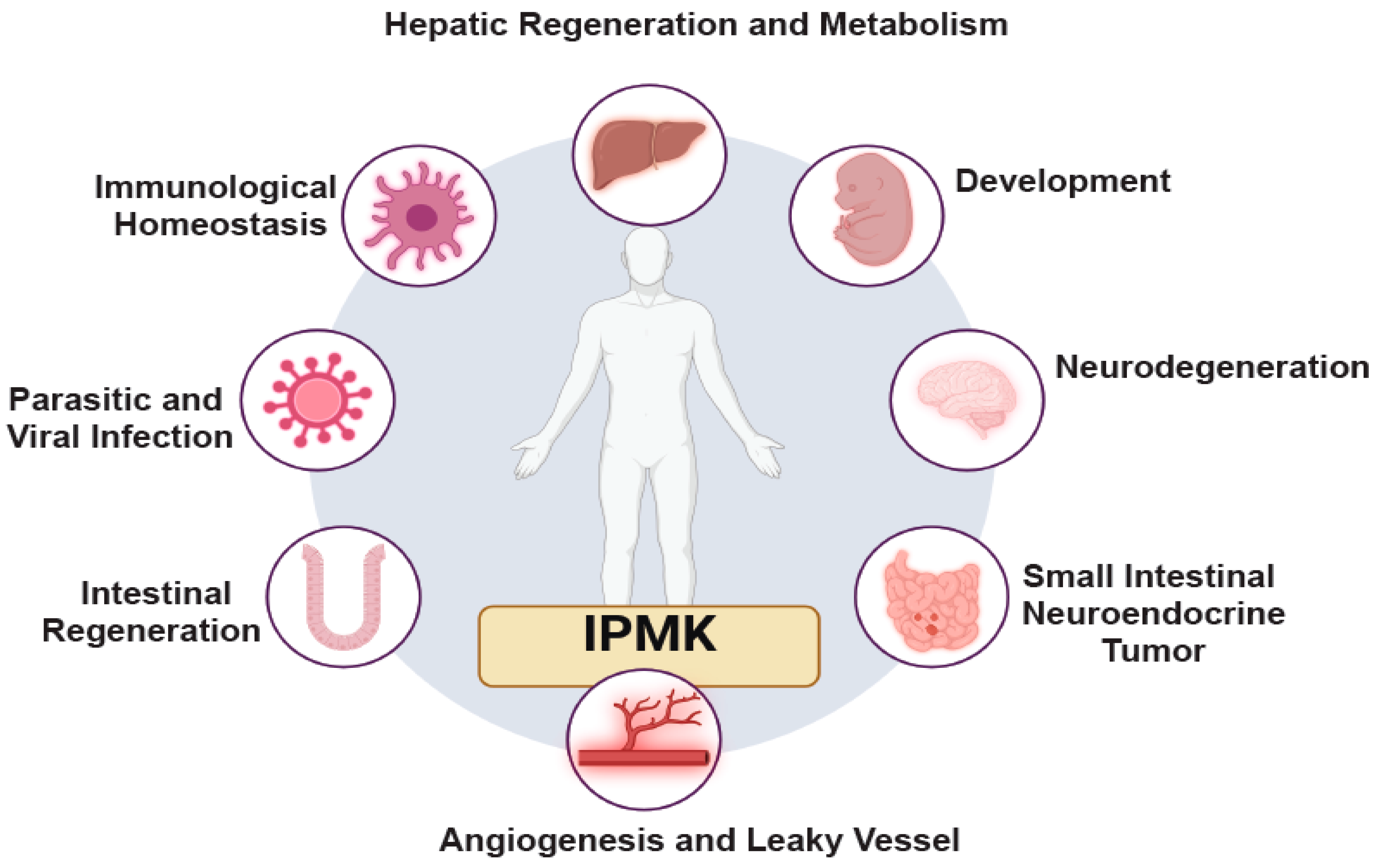 Biomolecules 15 01266 g004