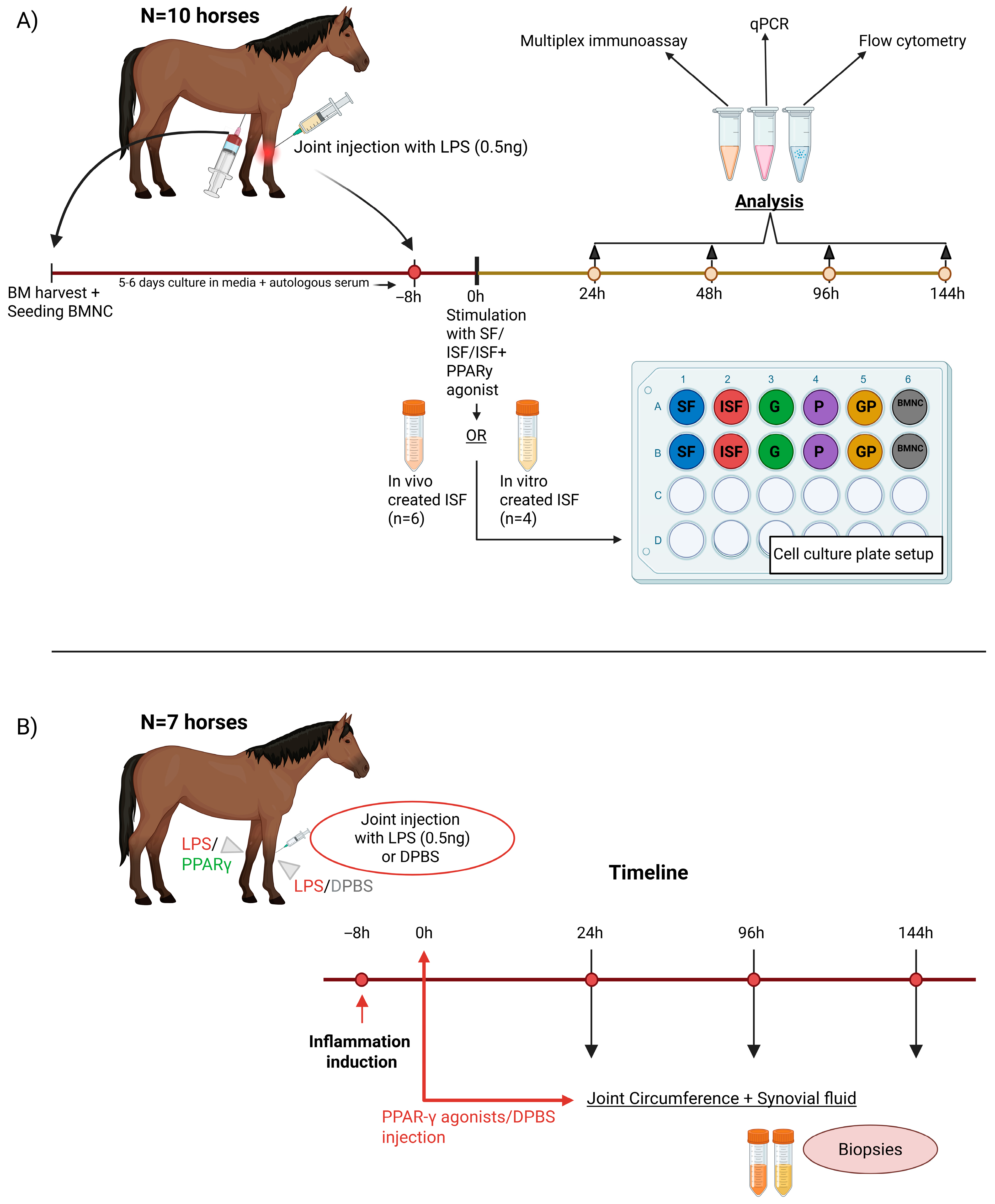 Biomolecules 15 01267 g001 Biomolecules 15 01267 g001