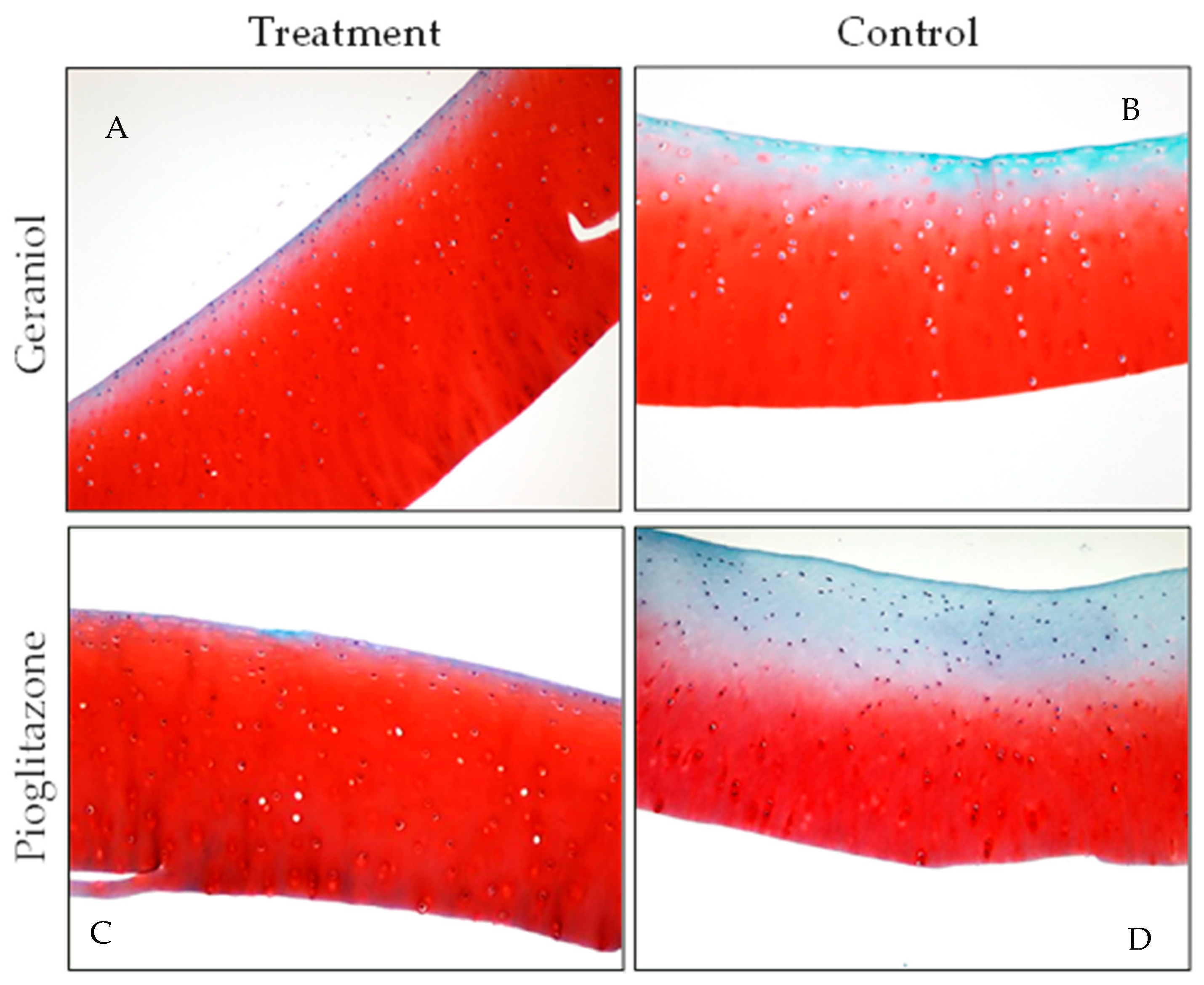 Biomolecules 15 01267 g008 Biomolecules 15 01267 g008