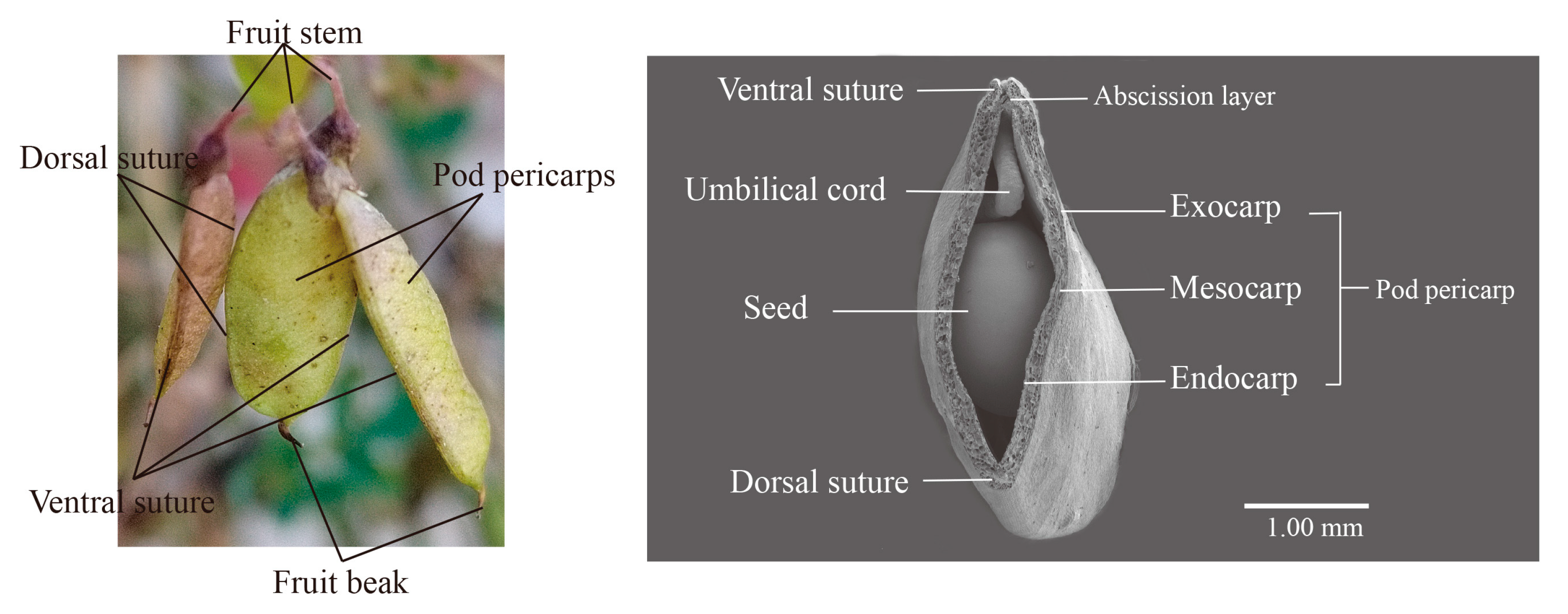 Biomolecules 15 01269 g002