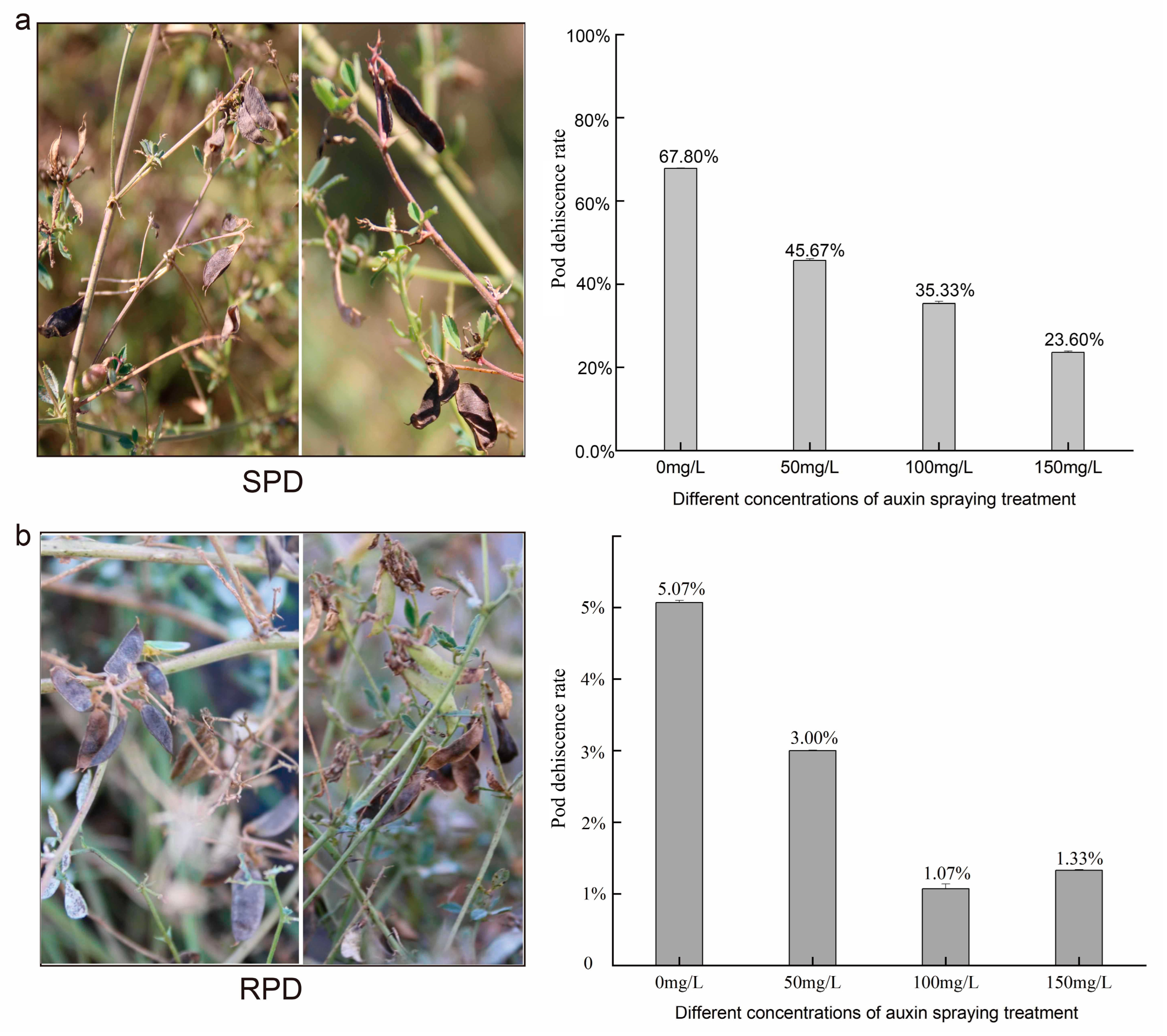 Biomolecules 15 01269 g006