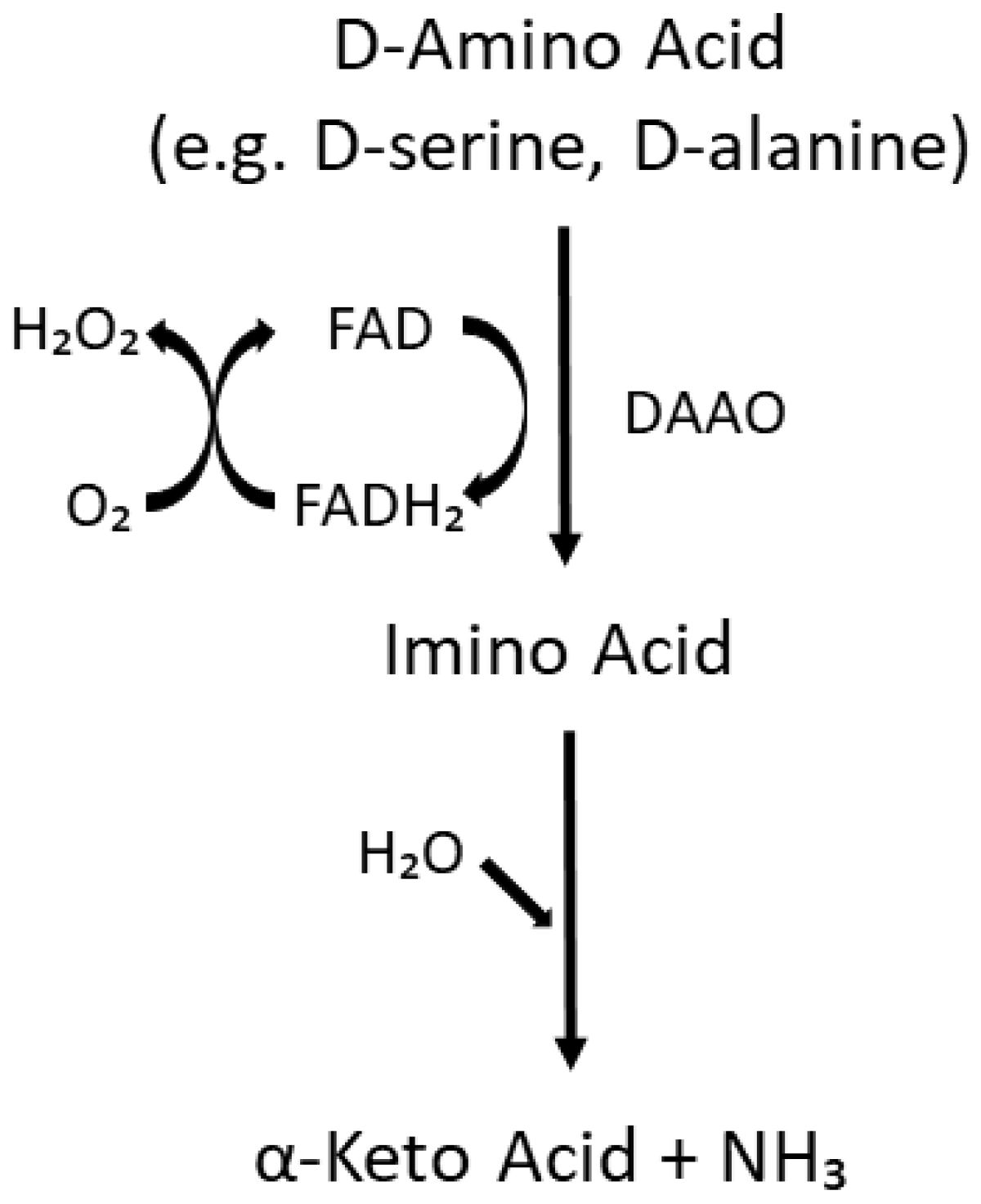 Biomolecules 15 01270 g002