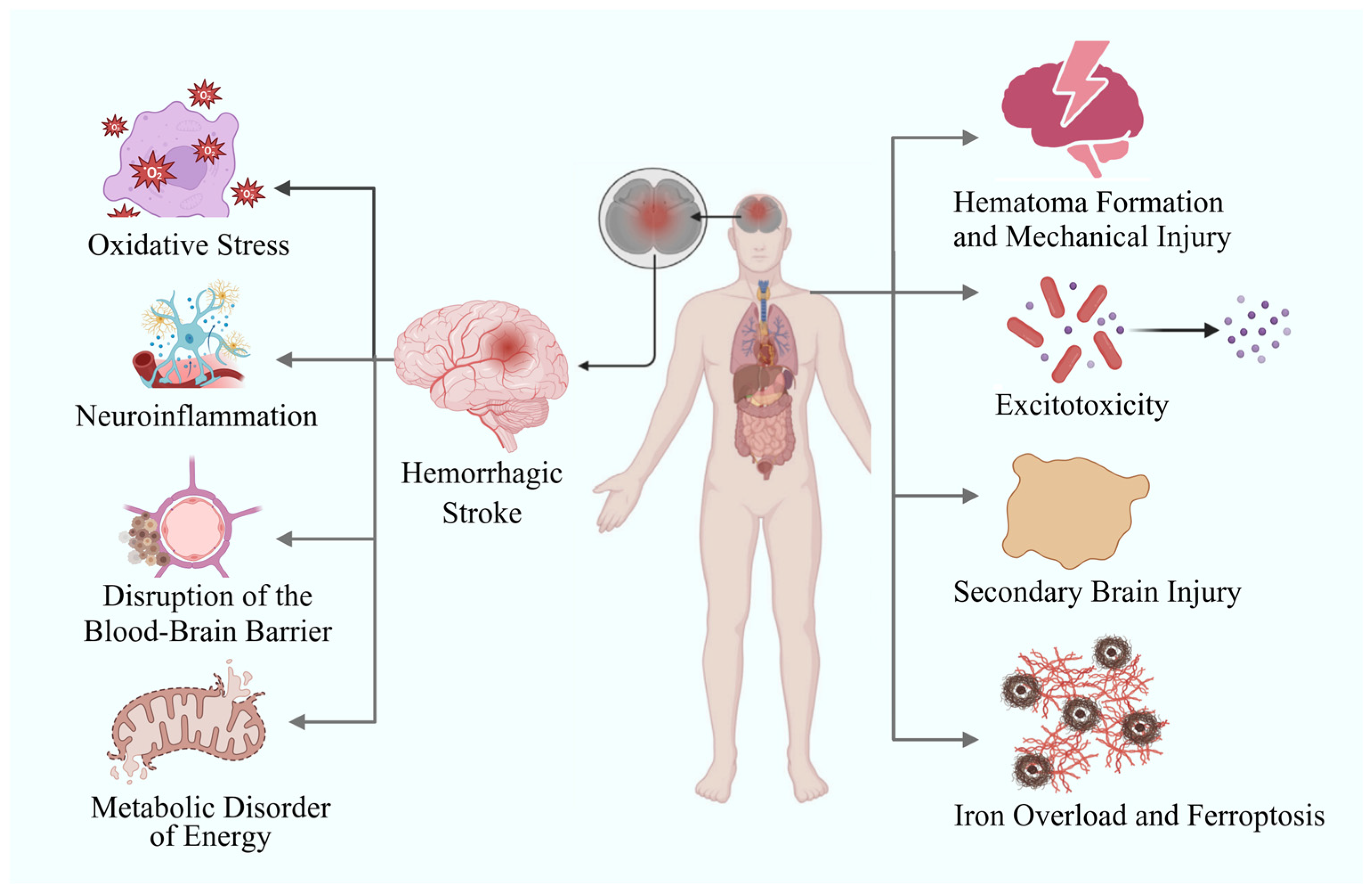 Biomolecules 15 01272 g001