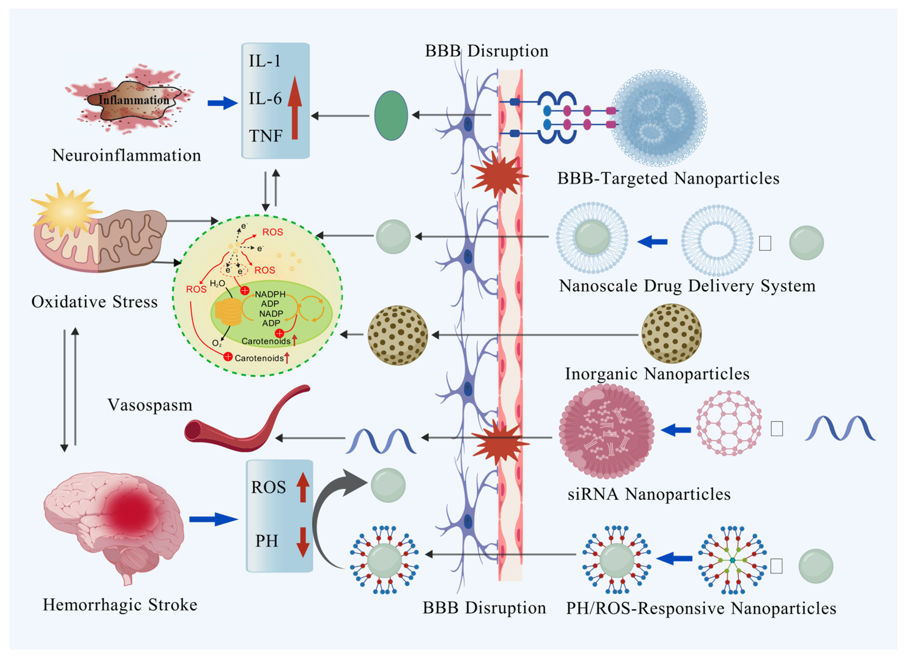 Biomolecules 15 01272 g003