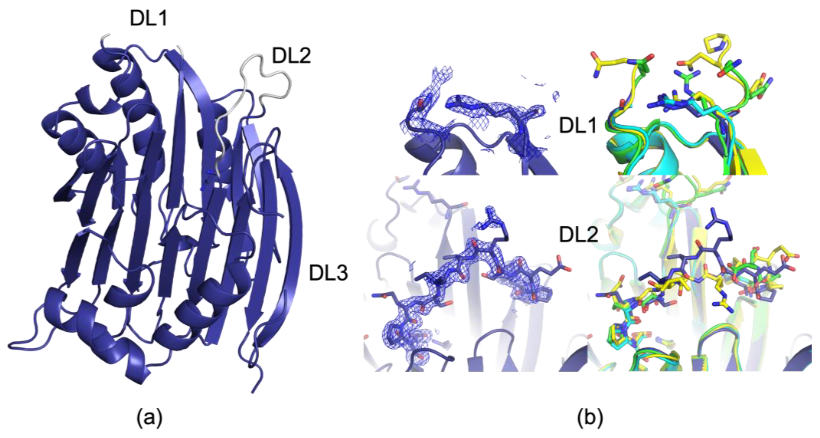 Biomolecules 15 01274 g002 Biomolecules 15 01274 g002