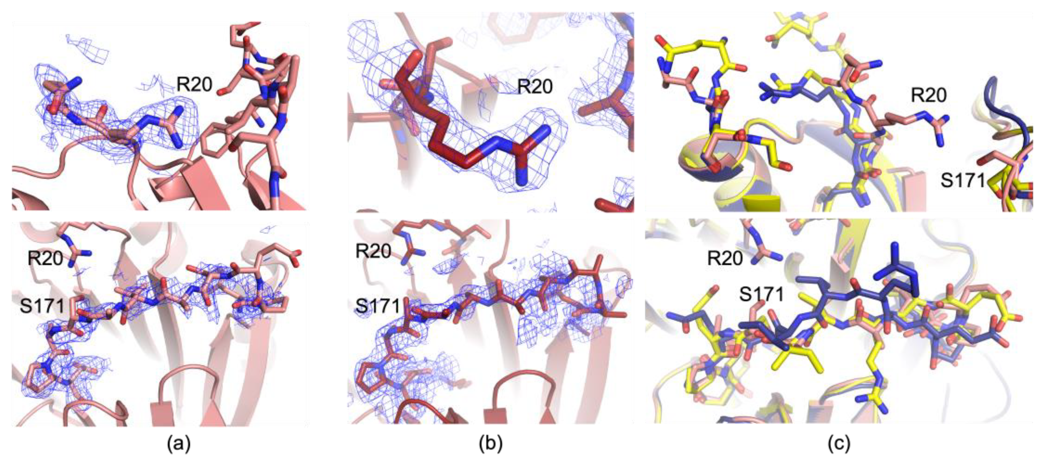 Biomolecules 15 01274 g003 Biomolecules 15 01274 g003