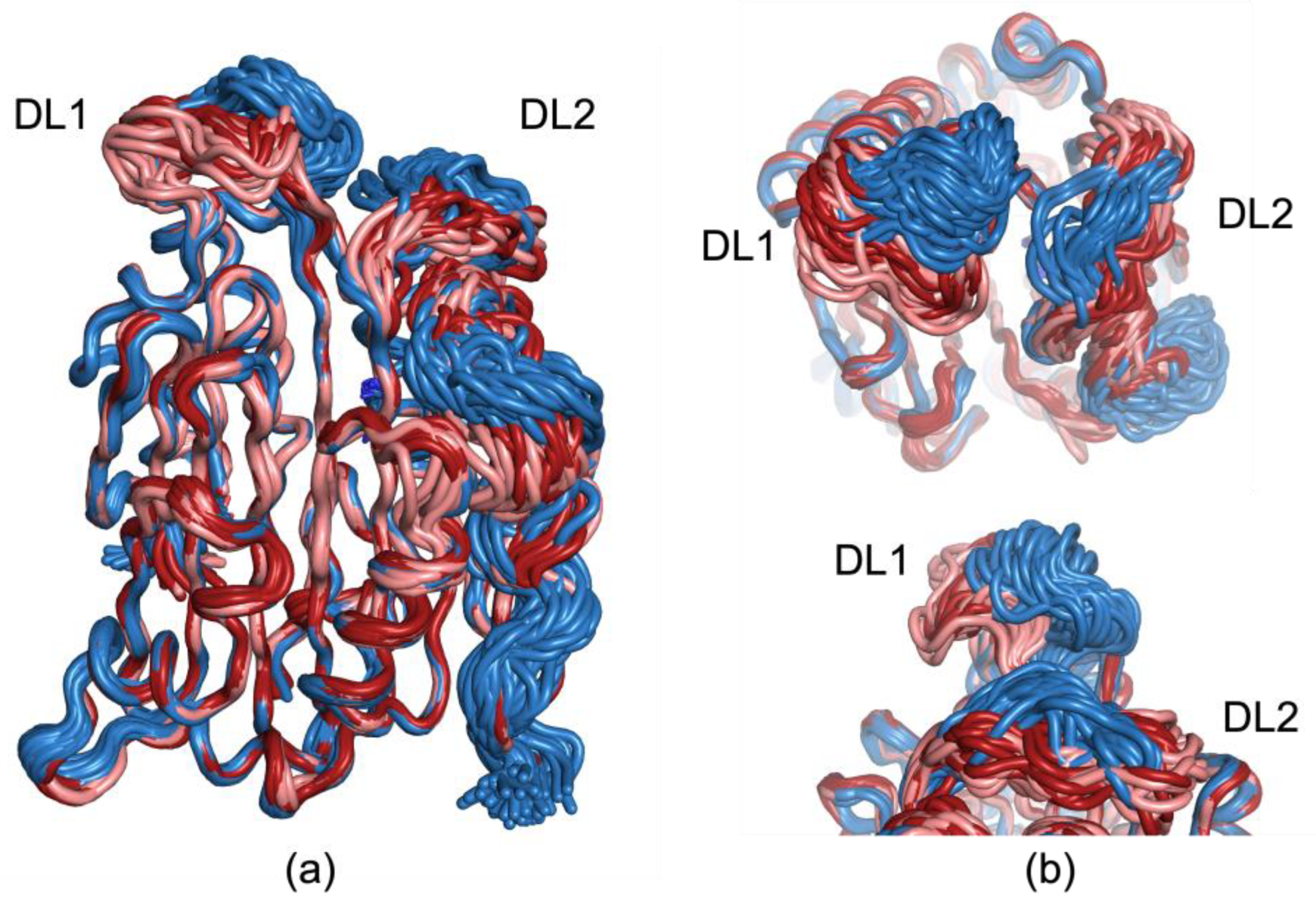 Biomolecules 15 01274 g004 Biomolecules 15 01274 g004