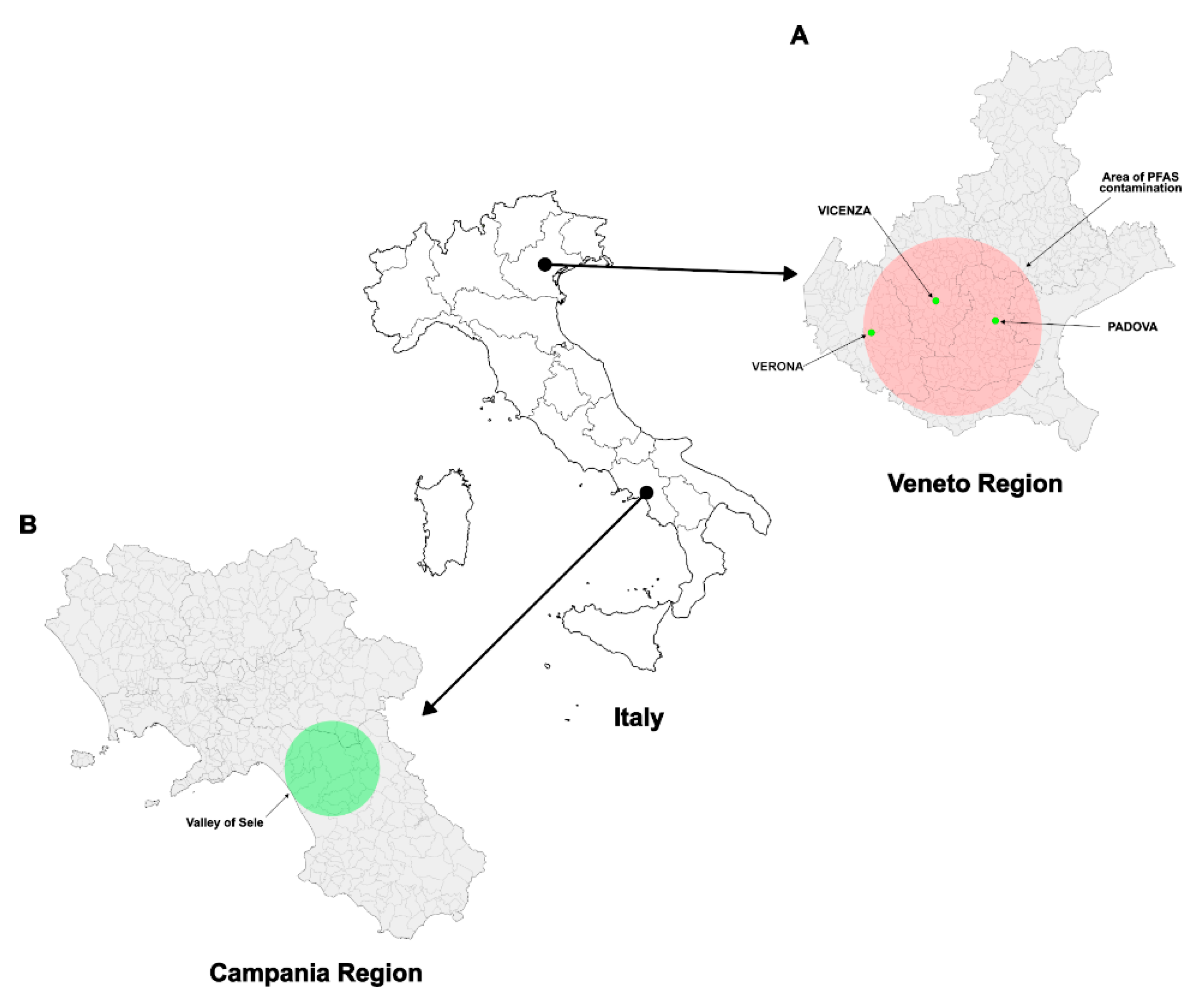 Biomolecules 15 01279 g001