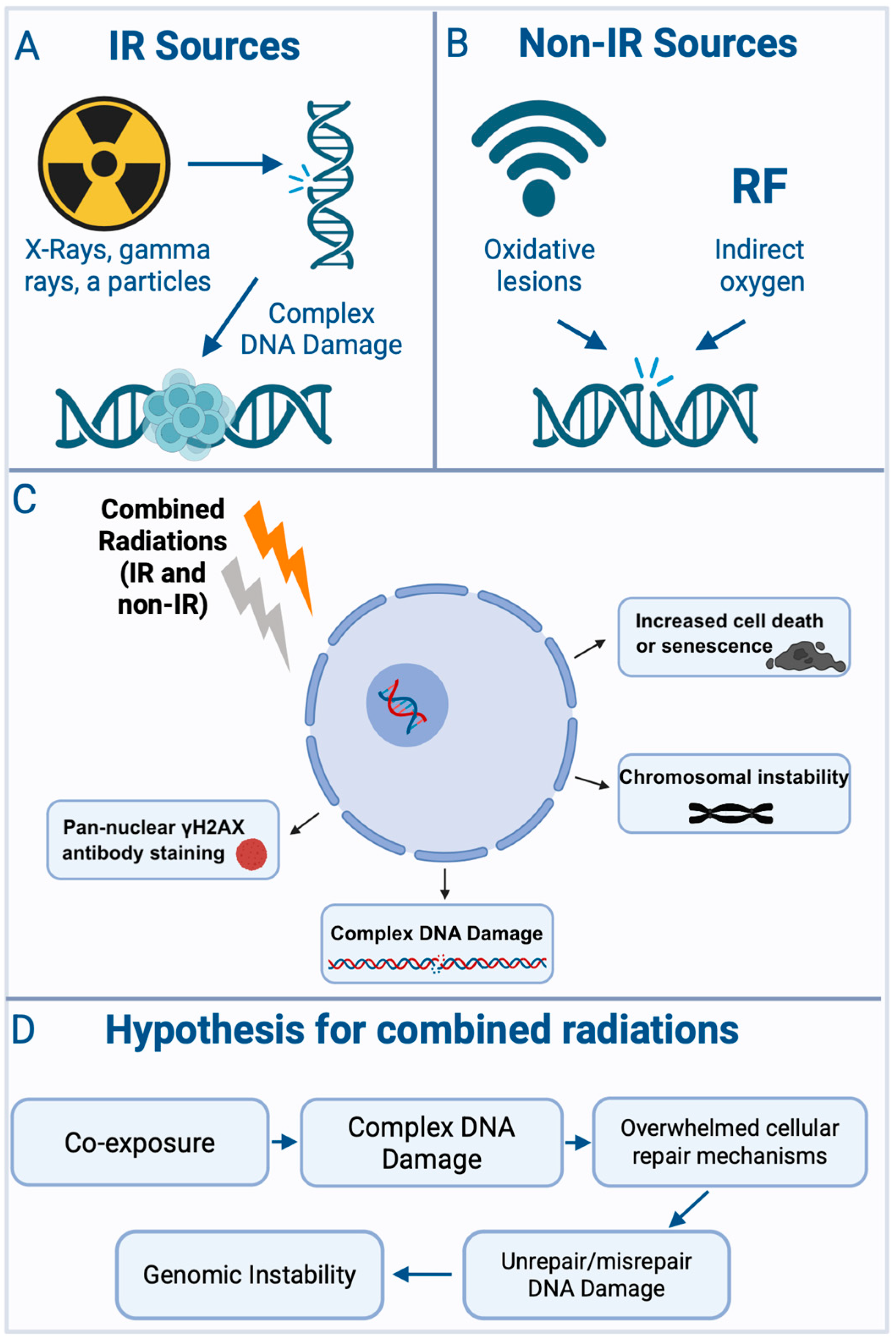 Biomolecules 15 01282 g002 Biomolecules 15 01282 g002