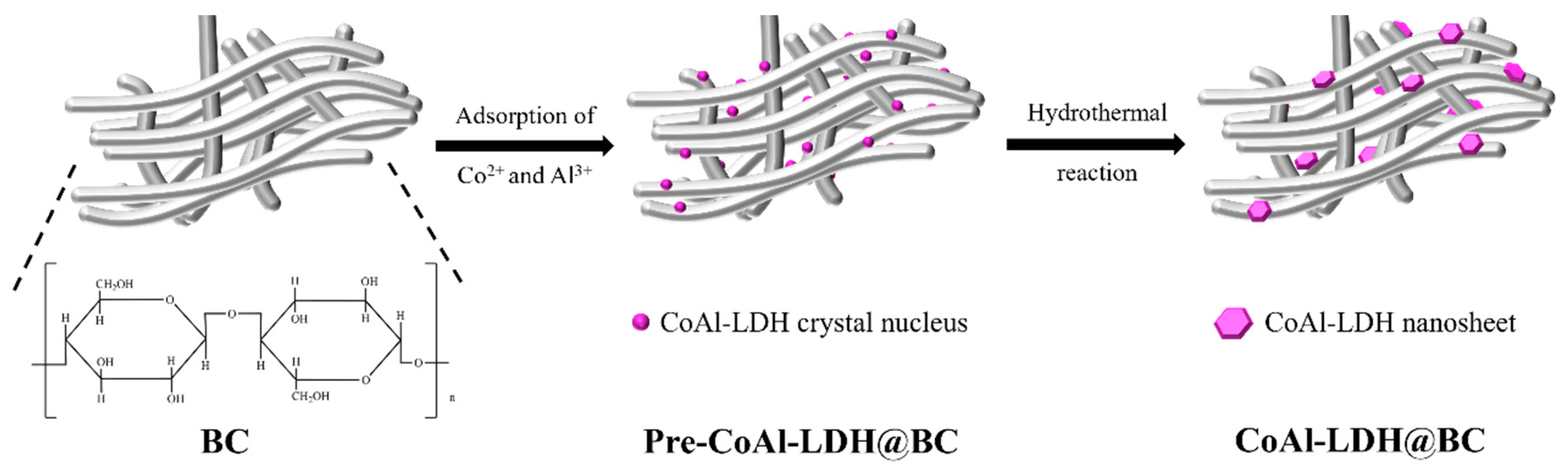Biomolecules 15 01283 g001 Biomolecules 15 01283 g001