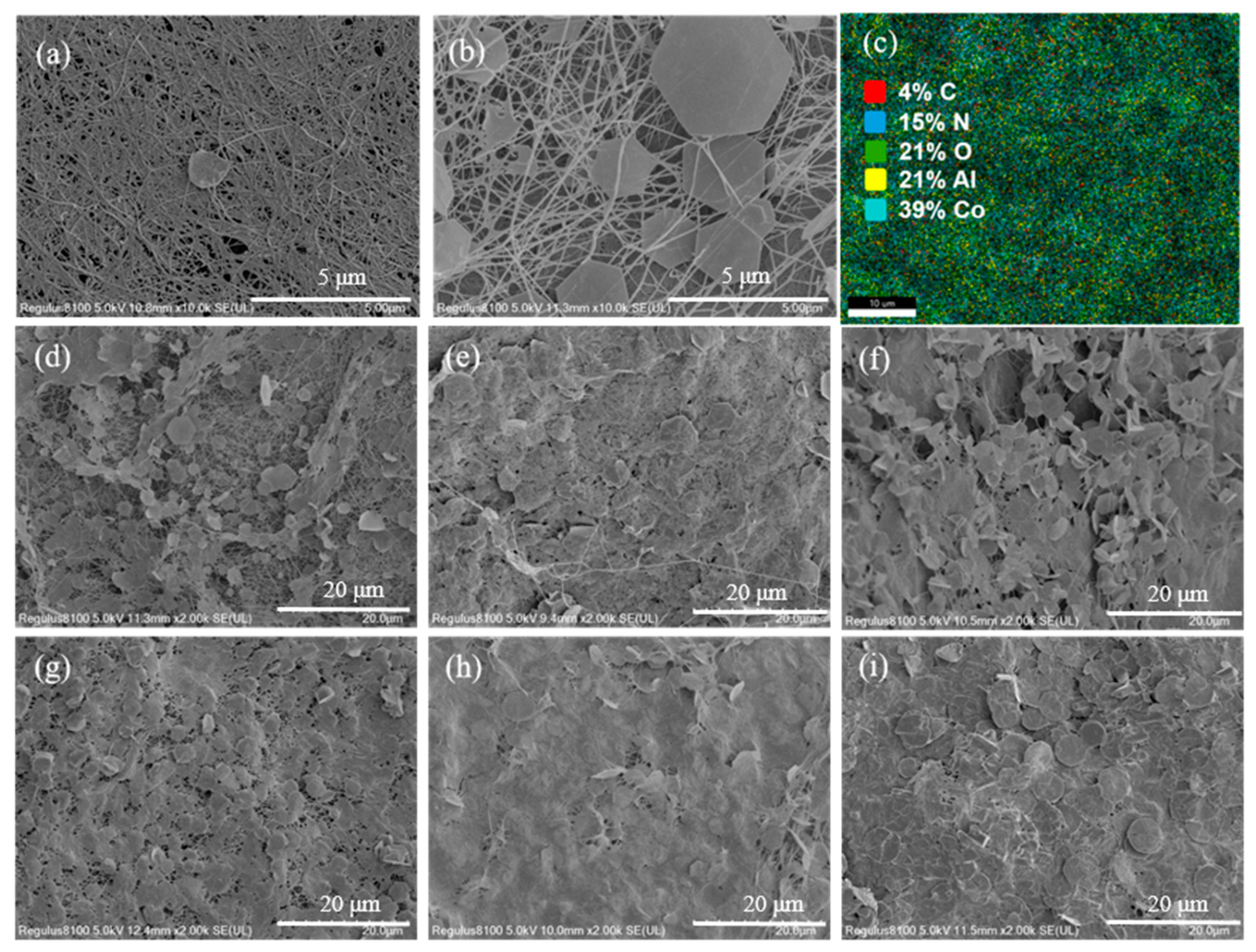 Biomolecules 15 01283 g002 Biomolecules 15 01283 g002