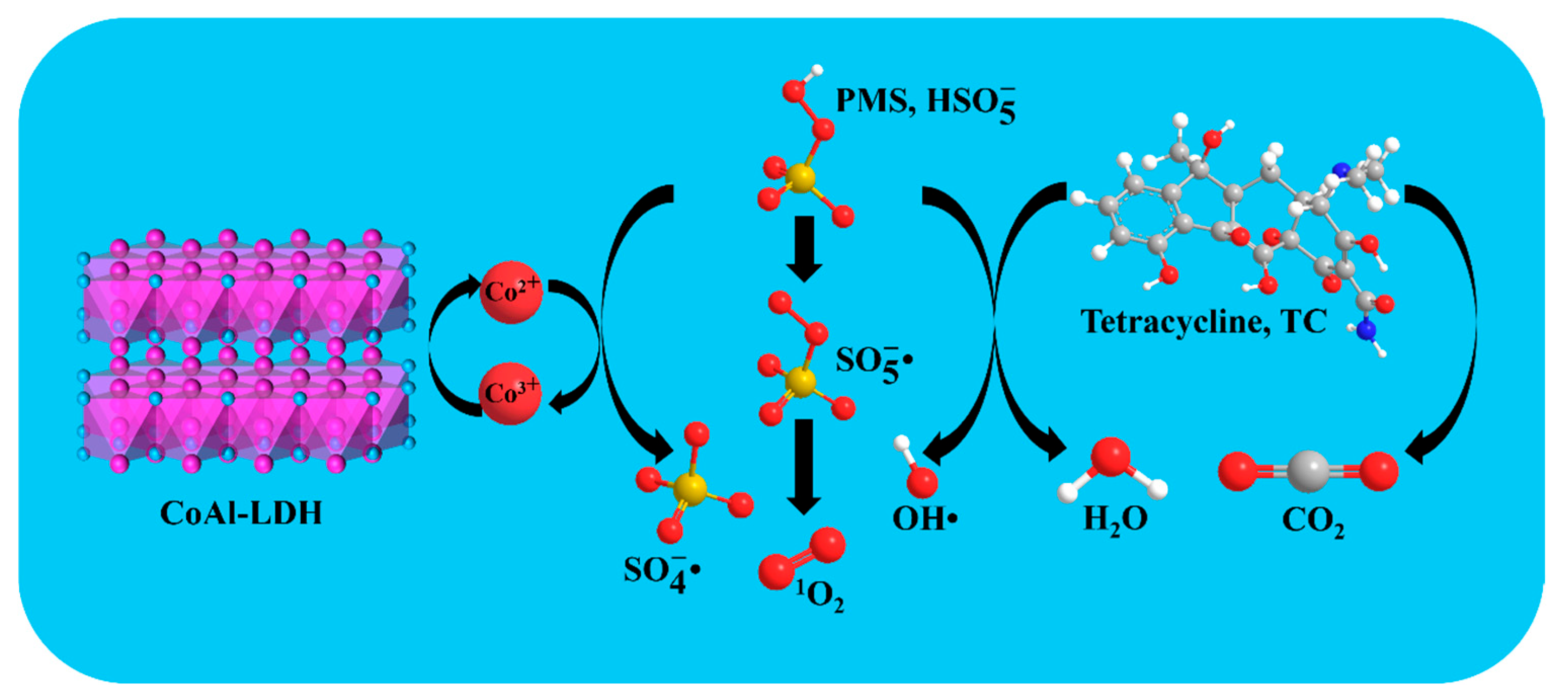Biomolecules 15 01283 g010 Biomolecules 15 01283 g010