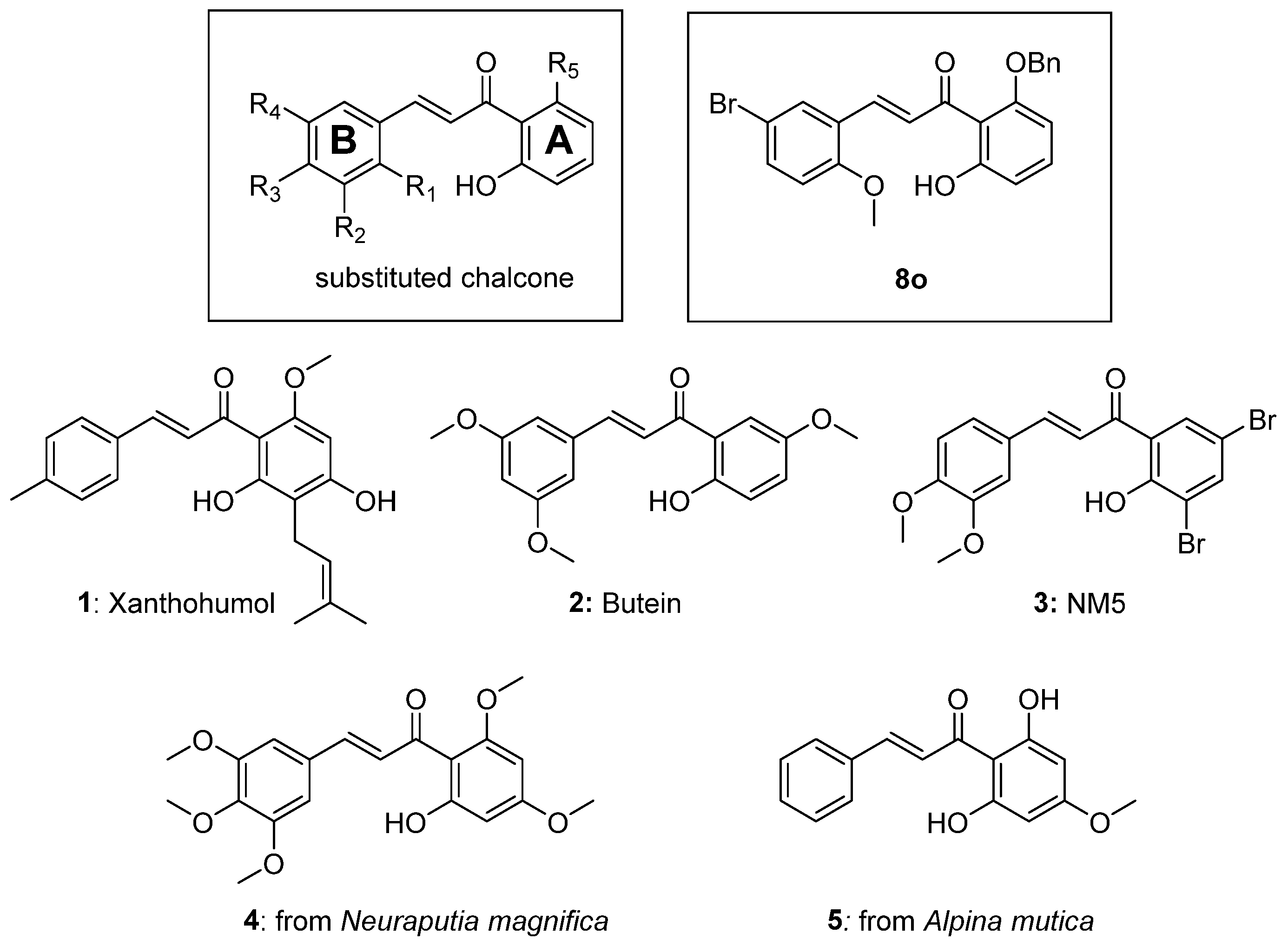 Biomolecules 15 01285 g001