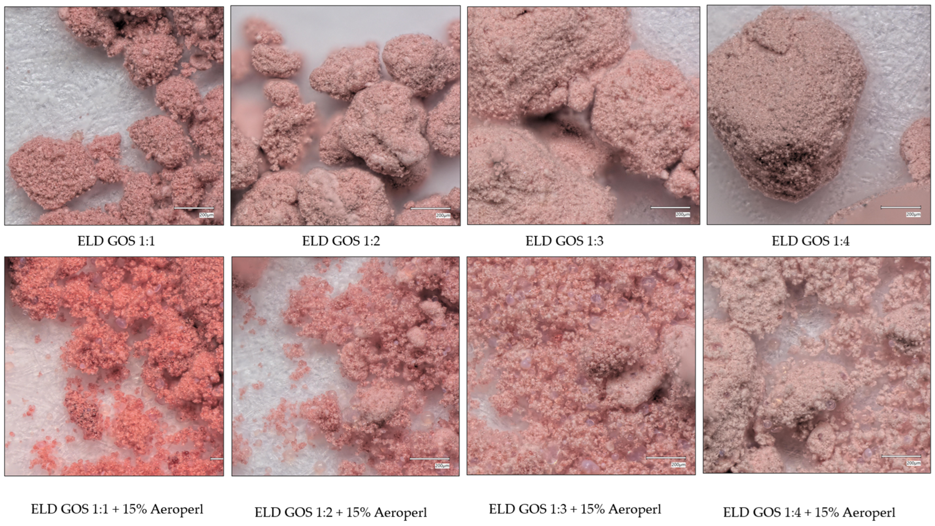 Biomolecules 15 01289 g007