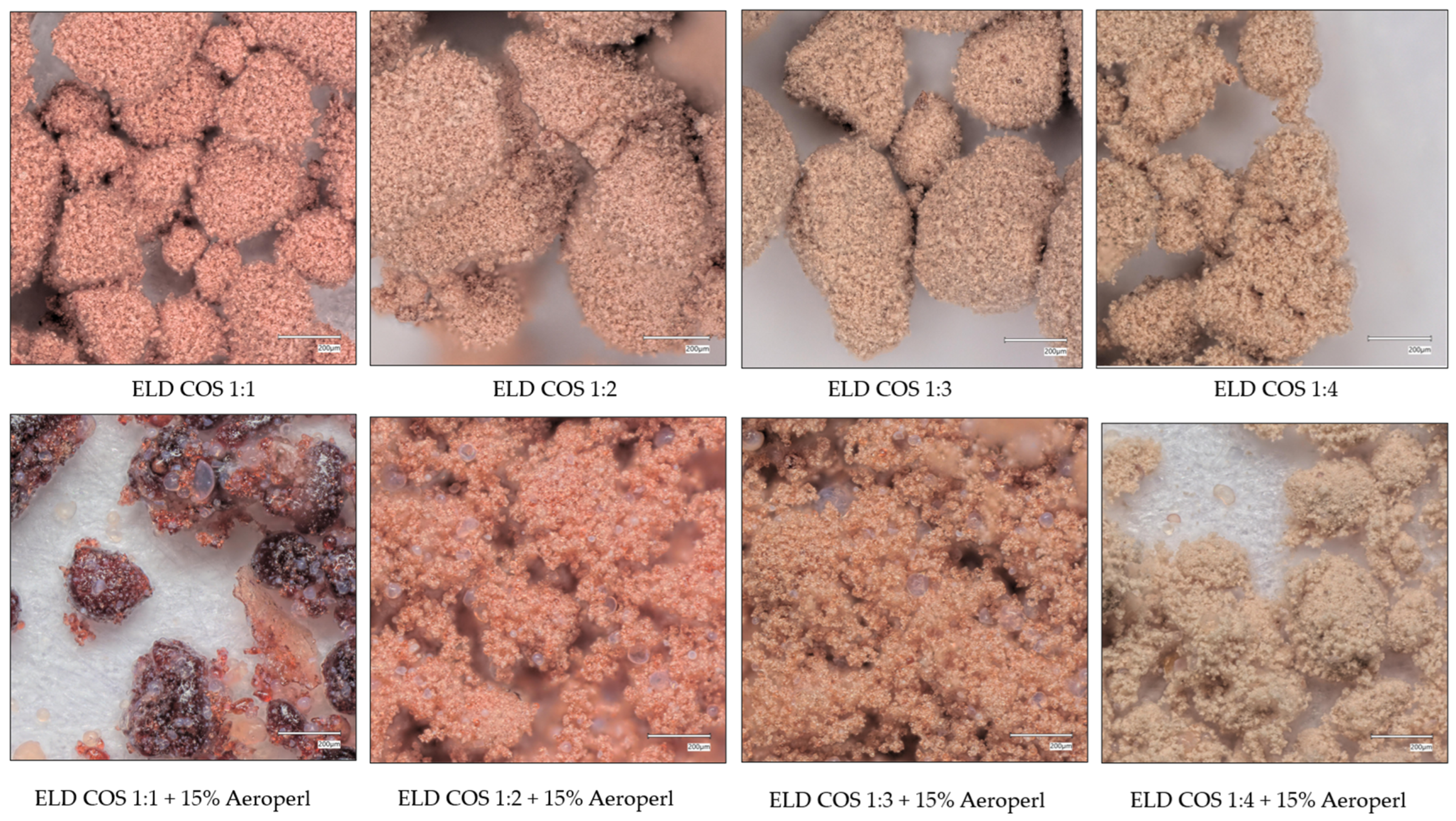 Biomolecules 15 01289 g008
