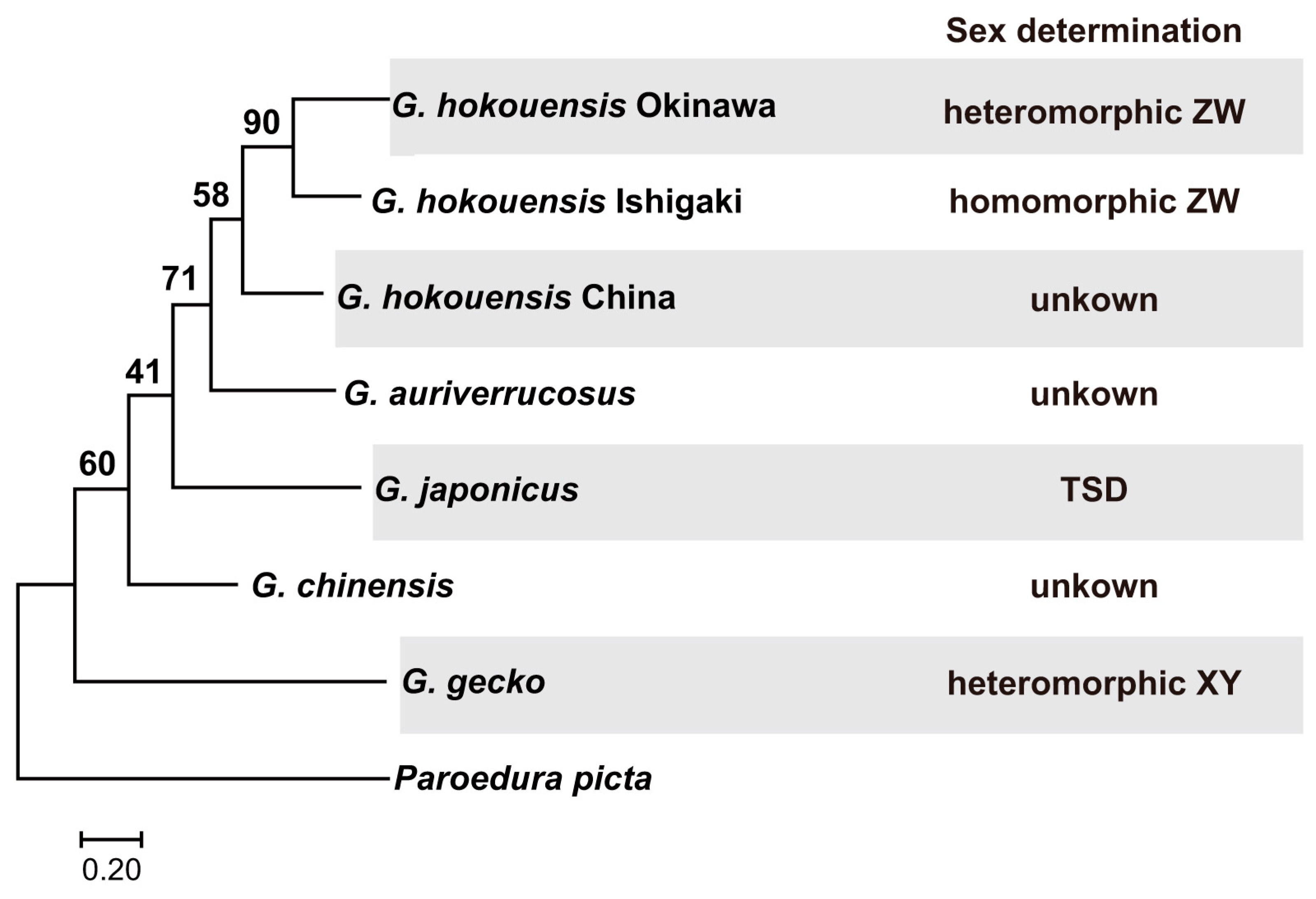 Biomolecules 15 01293 g001