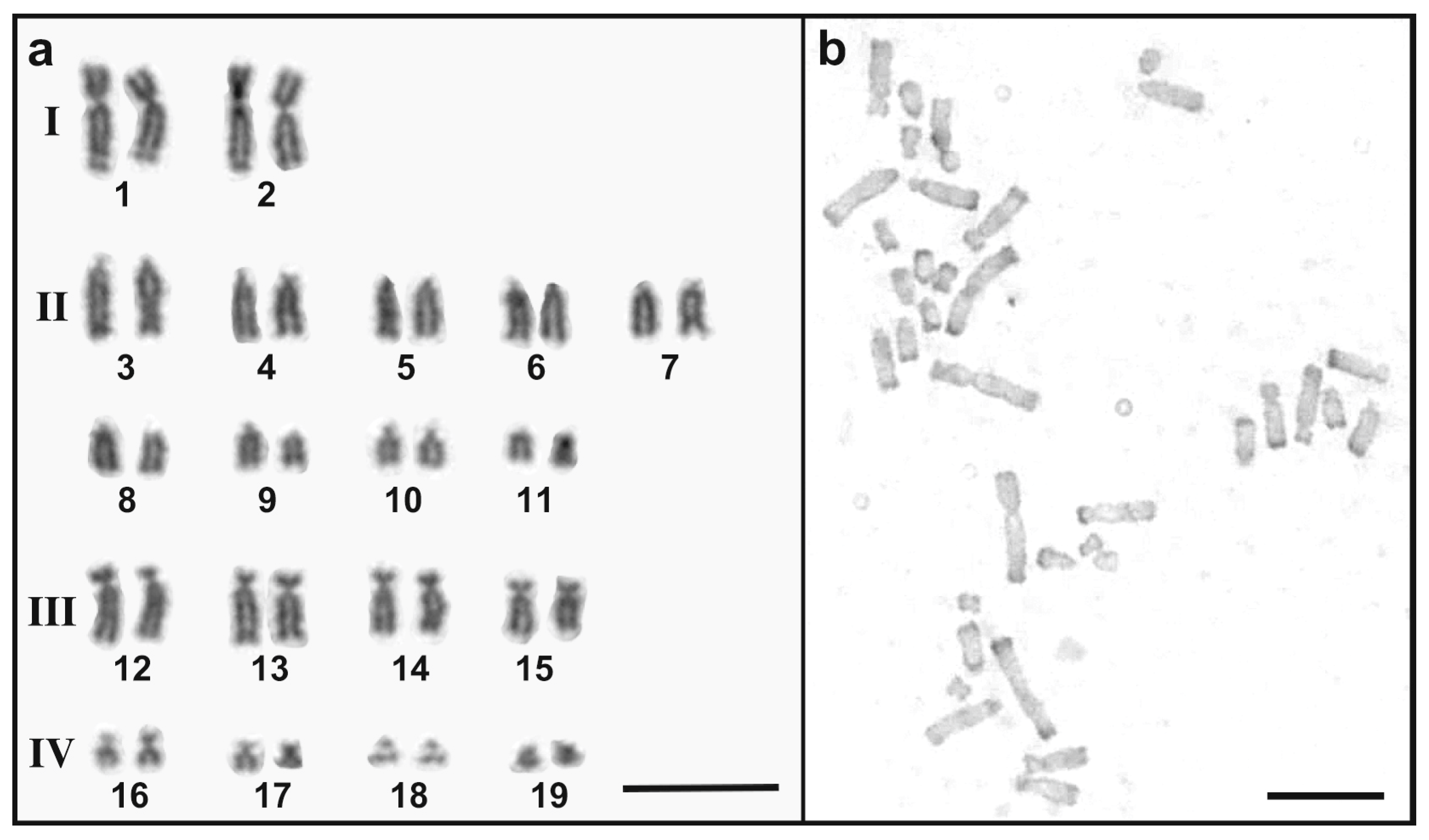 Biomolecules 15 01293 g002