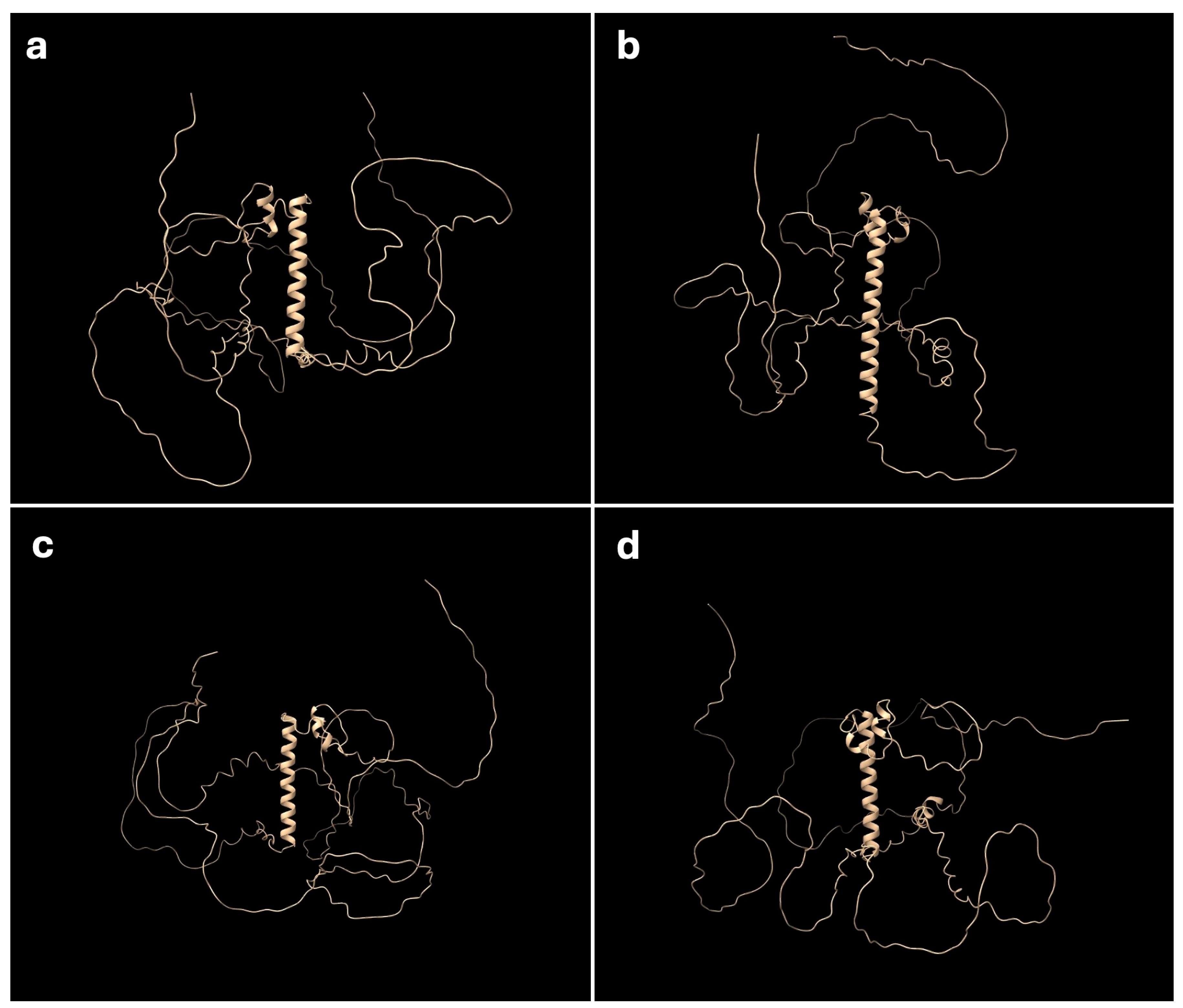 Biomolecules 15 01293 g004